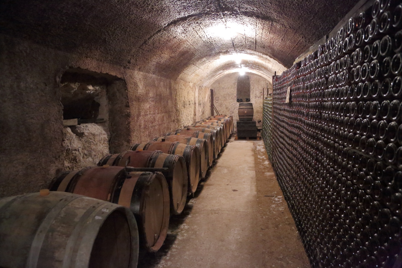 Im Keller der Maison Maurice Gonel