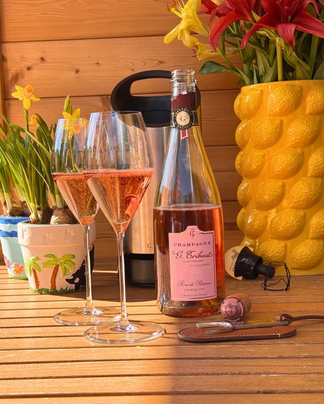 Endlich! Die ersten richtig warmen Sonnenstrahlen sind da und dazu passt ein frischer, eleganter Rosé-Champagner am besten oder?

Heute habe ich…