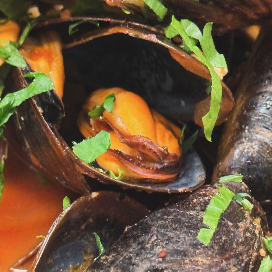 Der zweite Tag in Folge mit frischen Muscheln – ja, der Besuch beim Fischhändler meines Vertrauens hat sich definitiv gelohnt. Diesmal gab es Miesmuscheln in einer kräftigen Tom… (5)