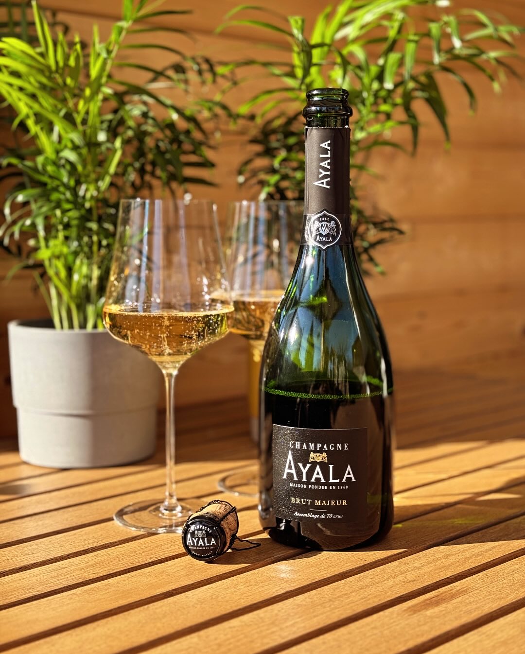 Was gibt’s Schöneres als einen richtig sonnigen Frühlingstag im Garten? ☀️ Genau: Einen sonnigen Frühlingstag mit einem Glas Champagner in der Hand. Heute - @champagne_ayala Bru… (1)