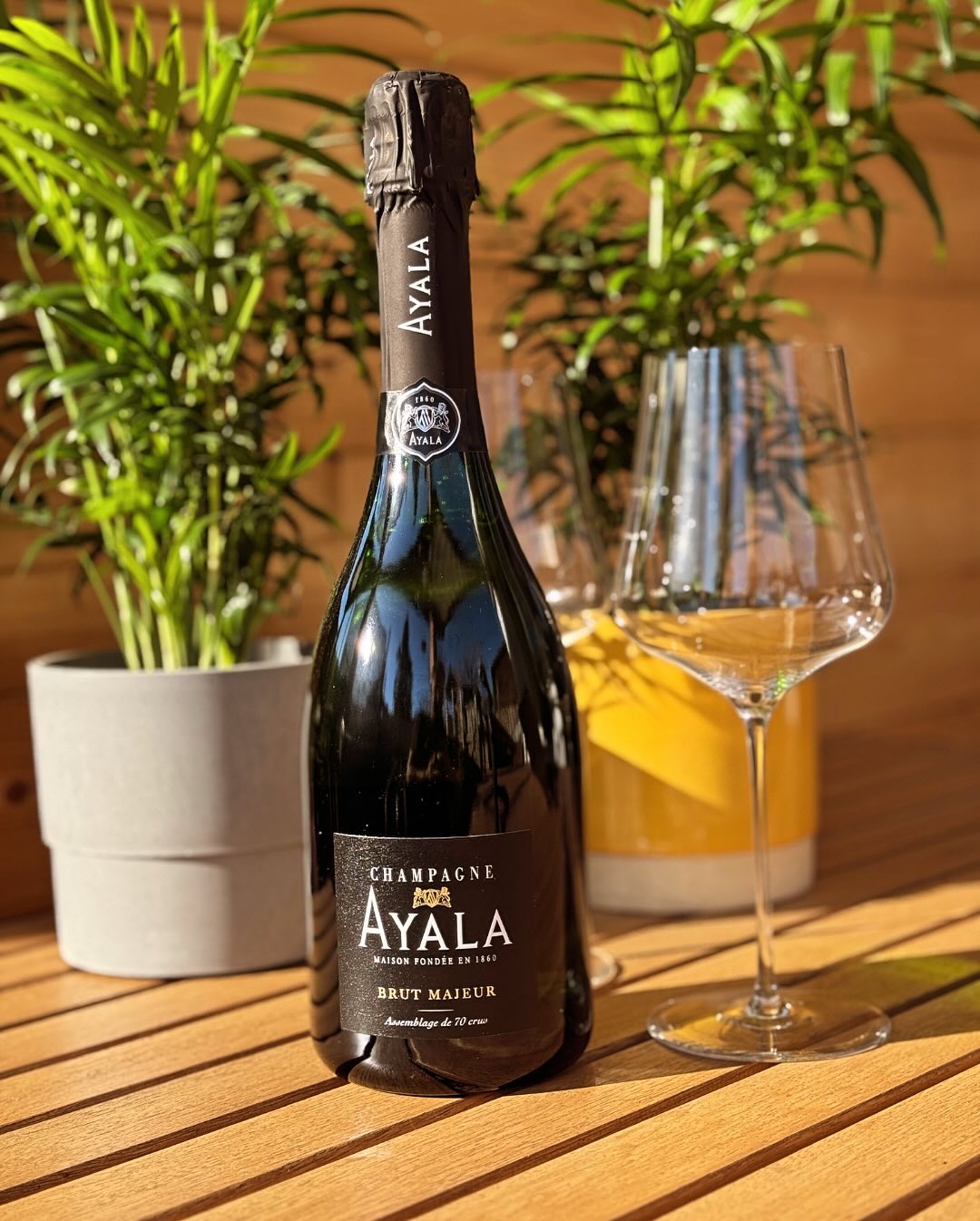 Was gibt’s Schöneres als einen richtig sonnigen Frühlingstag im Garten? ☀️ Genau: Einen sonnigen Frühlingstag mit einem Glas Champagner in der Hand. Heute - @champagne_ayala Bru… (2)
