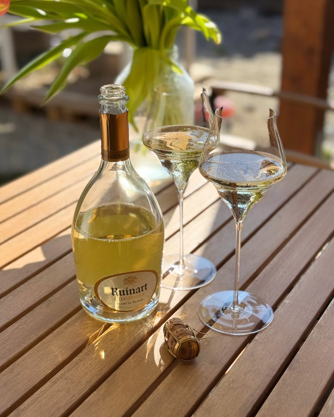 Kaum zeigen sich die ersten warmen Sonnenstrahlen, zieht es uns raus – raus auf die Terrasse, raus in den Garten. Die Hasen dürfen nach Monaten endlich wieder auf die Wiese, kna… (3)