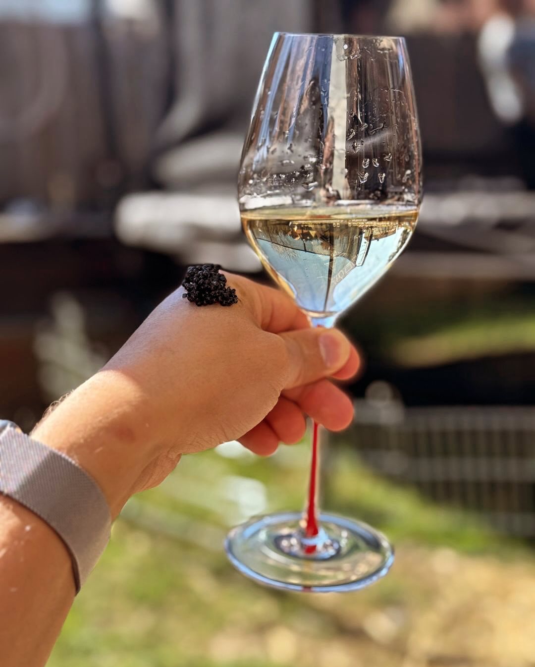 Heute ist in der Steiermark Feiertag – Josefstag! 🎉 Perfekt also für ein Champagnerfrühstück auf der Terrasse. Eigentlich war alles für drinnen geplant, doch als die Sonne raus… (10)