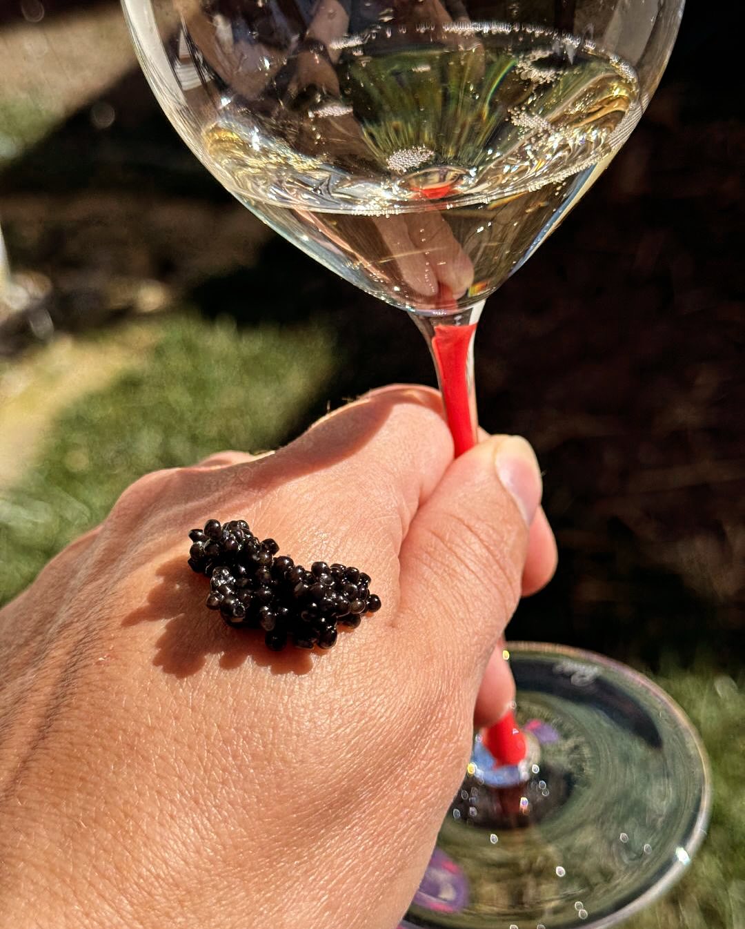 Heute ist in der Steiermark Feiertag – Josefstag! 🎉 Perfekt also für ein Champagnerfrühstück auf der Terrasse. Eigentlich war alles für drinnen geplant, doch als die Sonne raus… (8)