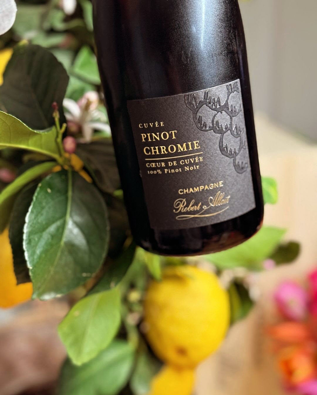 @champagnerobertallait - Pinot Chromie - Cœur de Cuvée - 100 % Pinot Noir – weiniger geht’s kaum 🍷 Heute mal ohne Pairing. Einfach ein ruhiger Nachmittag, ein Glas, und der Fok… (7)