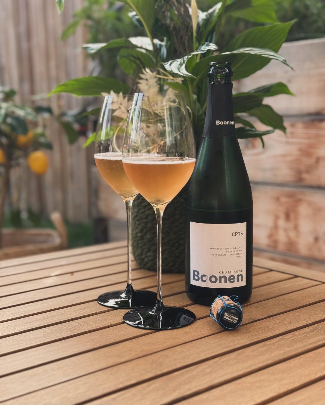 Heute kein Pairing, sondern nur ein entspannter Nachmittag mit... @champagne_boonen_ – CPTS. Ein toller Winzerchampagner, bei dem man die Philosophie im Hintergrund schmecken ka… (1)