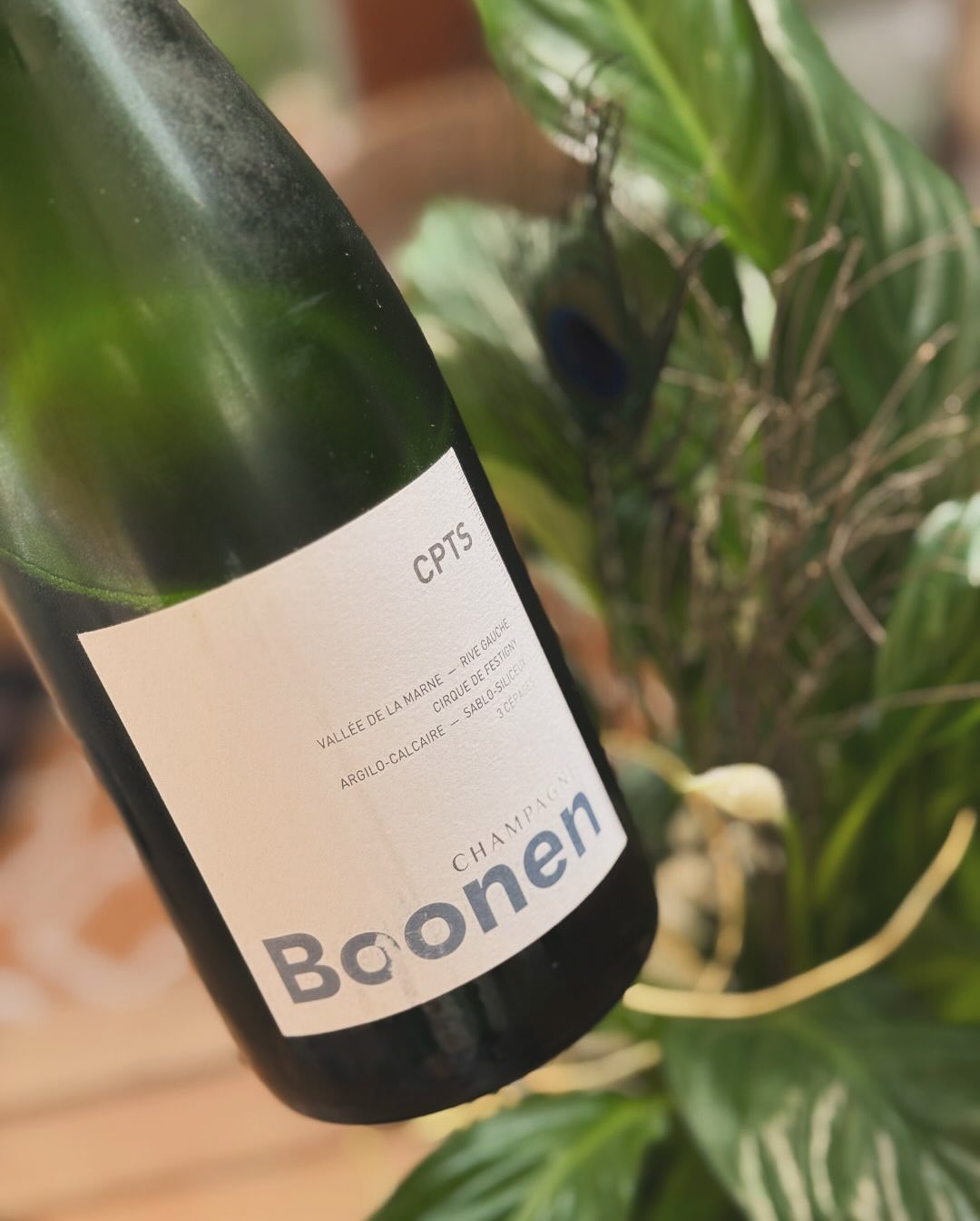 Heute kein Pairing, sondern nur ein entspannter Nachmittag mit... @champagne_boonen_ – CPTS. Ein toller Winzerchampagner, bei dem man die Philosophie im Hintergrund schmecken ka… (10)