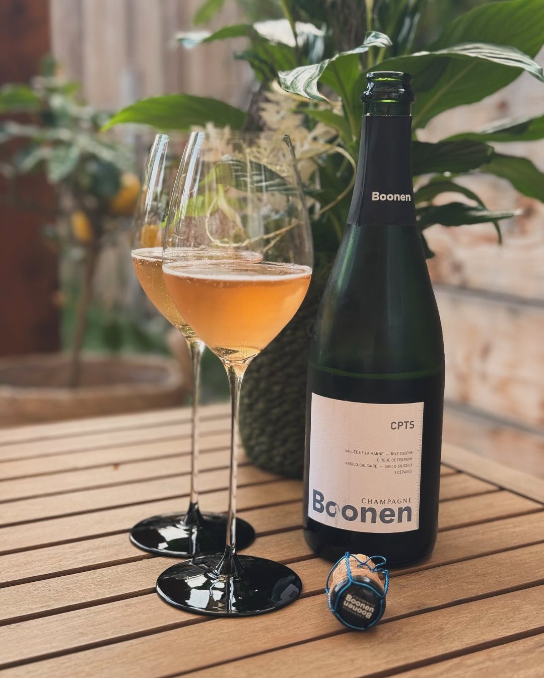 Heute kein Pairing, sondern nur ein entspannter Nachmittag mit... @champagne_boonen_ – CPTS. Ein toller Winzerchampagner, bei dem man die Philosophie im Hintergrund schmecken ka… (4)
