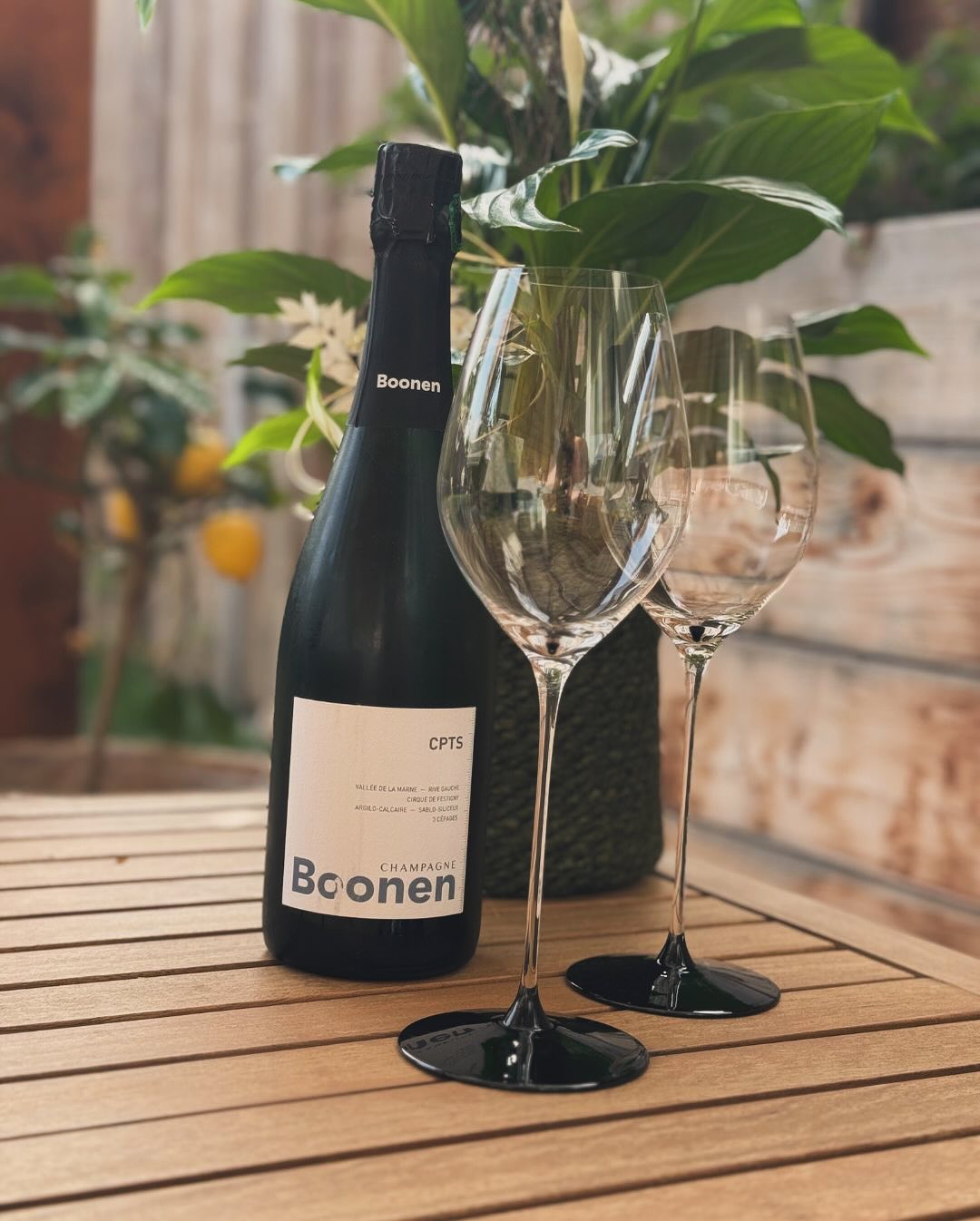 Heute kein Pairing, sondern nur ein entspannter Nachmittag mit... @champagne_boonen_ – CPTS. Ein toller Winzerchampagner, bei dem man die Philosophie im Hintergrund schmecken ka… (7)