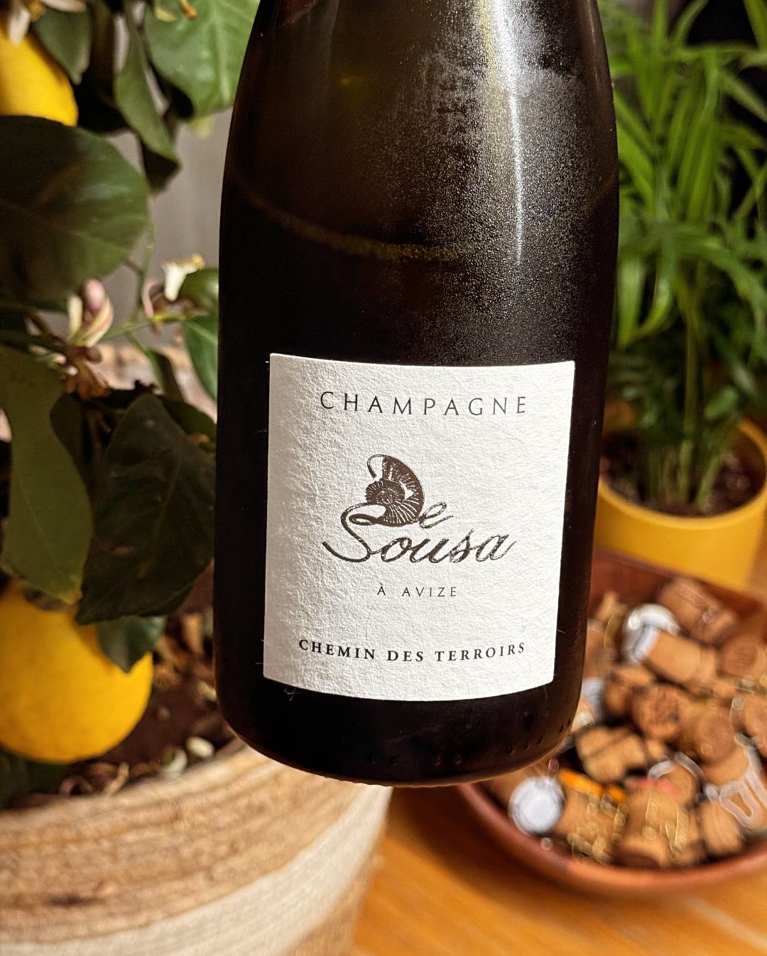 Der Chemin des Terroirs von @champagnedesousa war vor ein paar Wochen eine spontane Entscheidung. Beezergekühlt, aus dem bauchigen Gabriel Glas getrunken – spannend, charmant, f… (7)