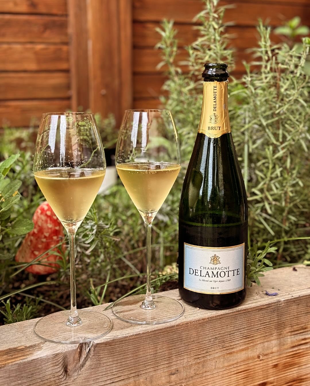Heute so warm, dass der Gedanke an den 10 °C kalten Pool plötzlich gar nicht mehr so verrückt klingt. Und passend zur Mittagssonne: ein Glas @champagnedelamotte – Brut. Fein, el… (1)