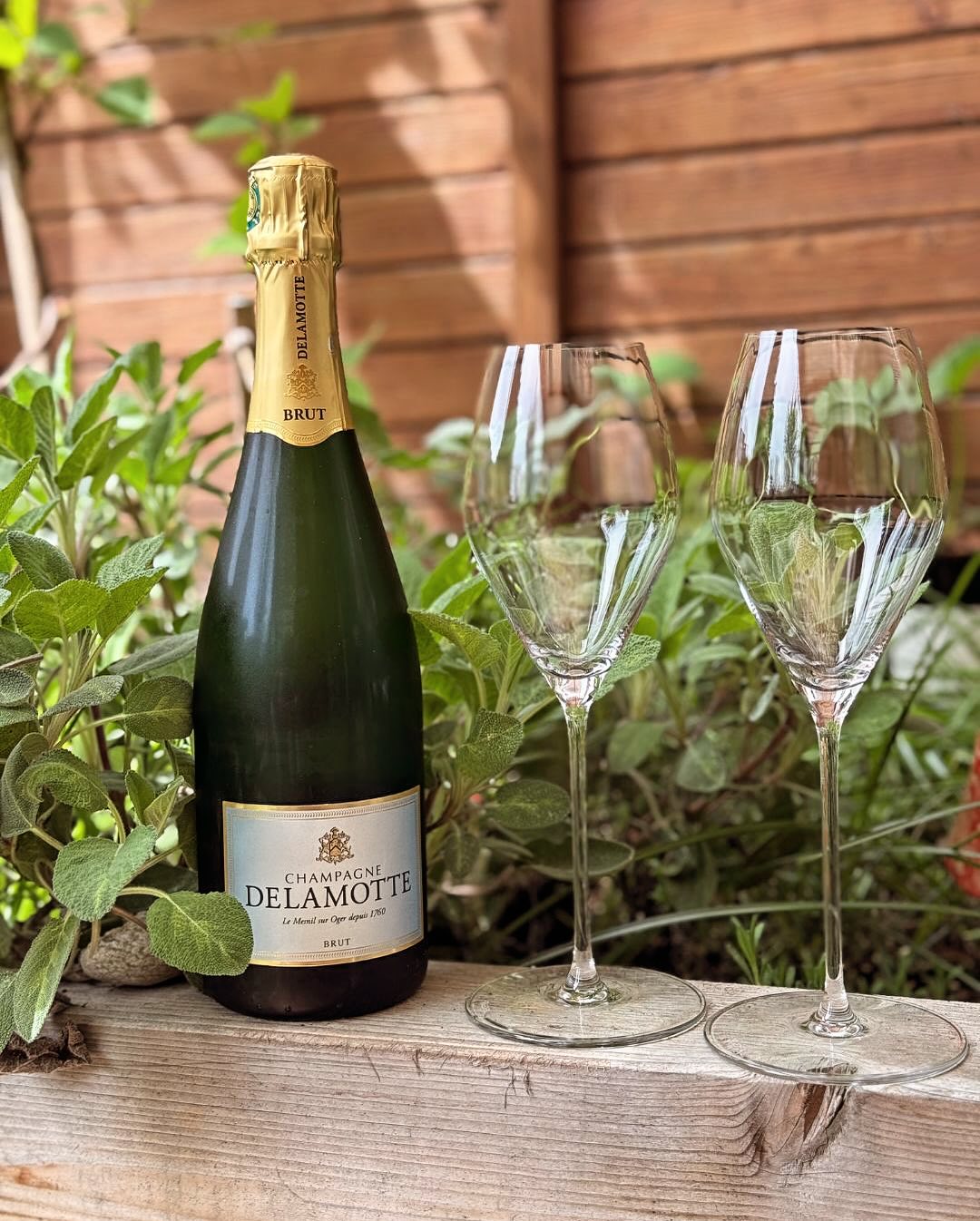 Heute so warm, dass der Gedanke an den 10 °C kalten Pool plötzlich gar nicht mehr so verrückt klingt. Und passend zur Mittagssonne: ein Glas @champagnedelamotte – Brut. Fein, el… (3)