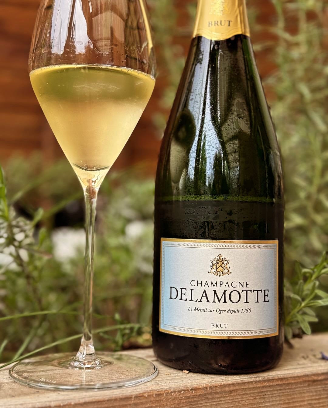 Heute so warm, dass der Gedanke an den 10 °C kalten Pool plötzlich gar nicht mehr so verrückt klingt. Und passend zur Mittagssonne: ein Glas @champagnedelamotte – Brut. Fein, el… (6)