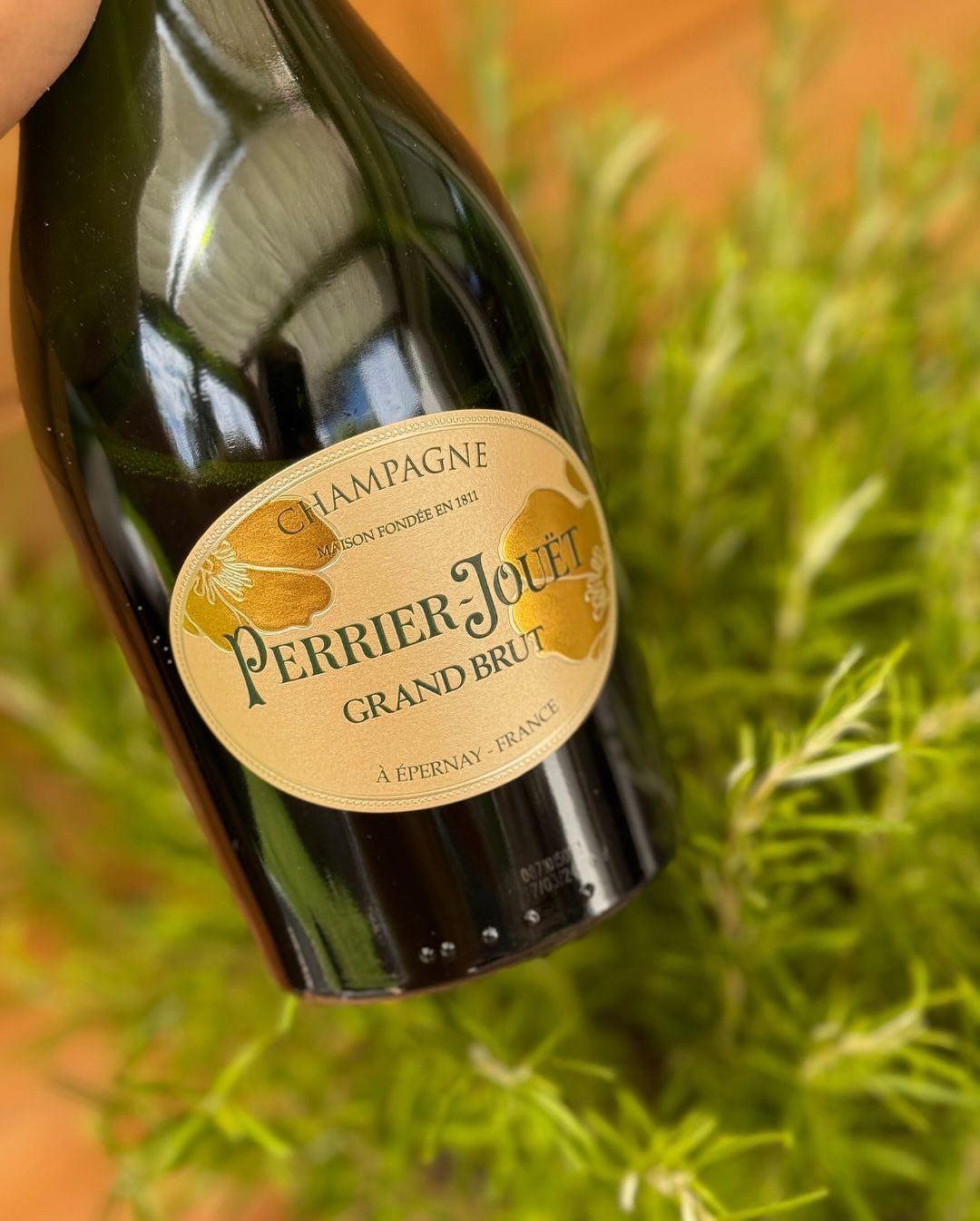Während die Bolognese auf dem Herd von Stunde zu Stunde besser wurde, durfte es gestern noch ein Glas zur Einstimmung sein: @perrierjouet – Grand Brut – floral, feinperlig, mit … (6)