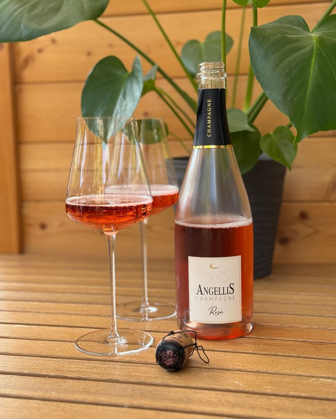 Heute Nachmittag keine echten Sommer-Vibes, hin und wieder Regen – irgendwas dazwischen. Aber genau richtig, um den Champagne Angellis – Rosé Brut zu öffnen. Was sofort auffällt… (1)