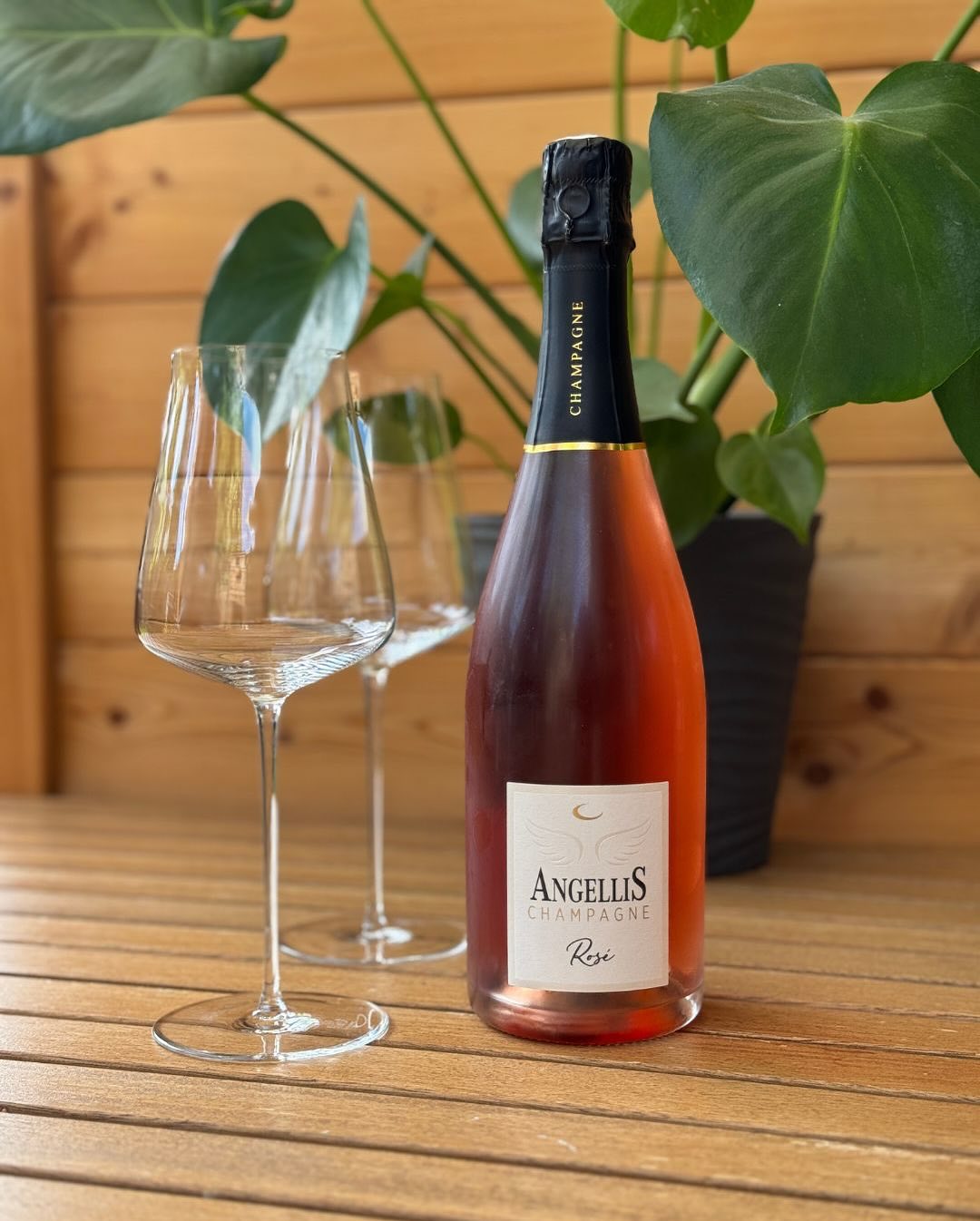 Heute Nachmittag keine echten Sommer-Vibes, hin und wieder Regen – irgendwas dazwischen. Aber genau richtig, um den Champagne Angellis – Rosé Brut zu öffnen. Was sofort auffällt… (3)