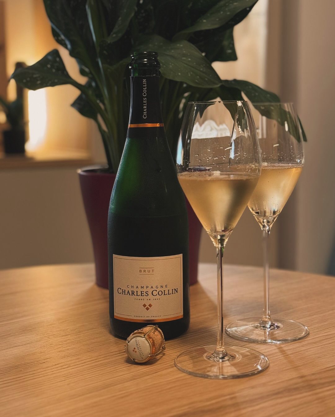 Gestern Abend, nichts Produktives vor. Sofa, Serie, Ruhe. Und dazu: ein Glas Champagne - @champagne_charlescollin – Brut. 📝 Kurz und knapp zum Champagner: 🍇 Assemblage: 80 % P… (1)