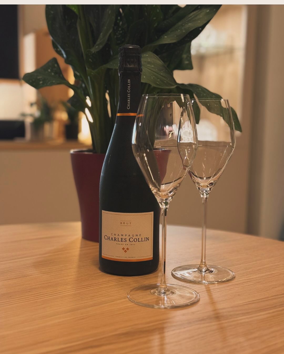 Gestern Abend, nichts Produktives vor. Sofa, Serie, Ruhe. Und dazu: ein Glas Champagne - @champagne_charlescollin – Brut. 📝 Kurz und knapp zum Champagner: 🍇 Assemblage: 80 % P… (2)