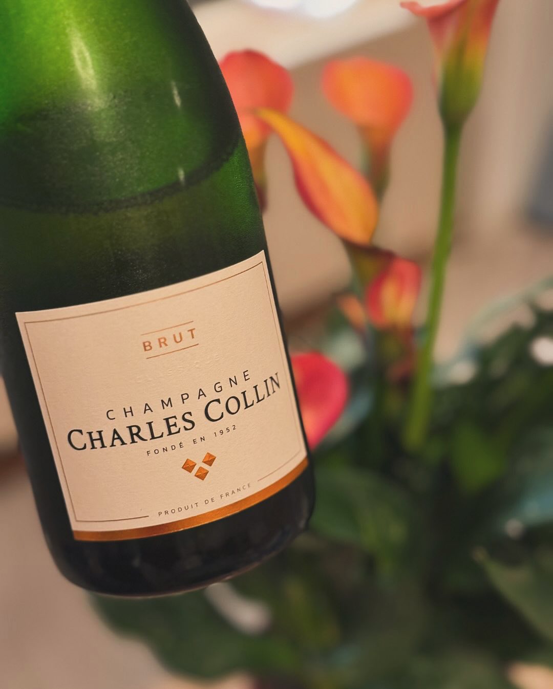 Gestern Abend, nichts Produktives vor. Sofa, Serie, Ruhe. Und dazu: ein Glas Champagne - @champagne_charlescollin – Brut. 📝 Kurz und knapp zum Champagner: 🍇 Assemblage: 80 % P… (7)