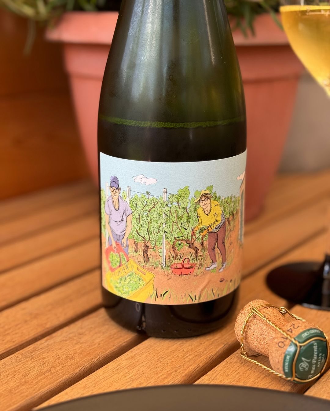 Grill, Gemüse, Wraps. Und im Glas? Präzision pur. Heute Mittag war die Stimmung so frei wie das Essen. Die Kinder wollten Wraps – Freestyle natürlich – mit allem, was dazugeh… (3)