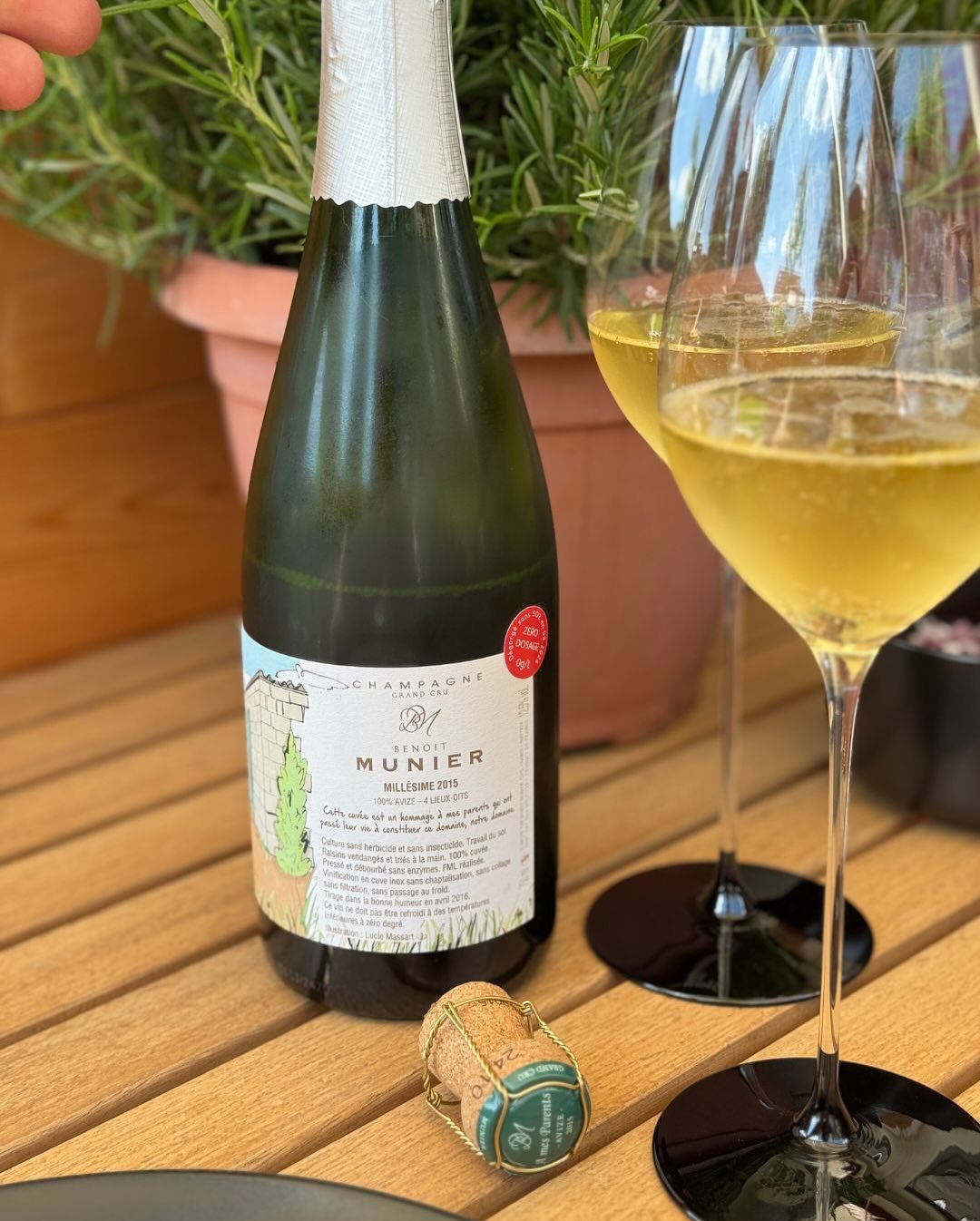 Grill, Gemüse, Wraps. Und im Glas? Präzision pur. Heute Mittag war die Stimmung so frei wie das Essen. Die Kinder wollten Wraps – Freestyle natürlich – mit allem, was dazugeh… (4)