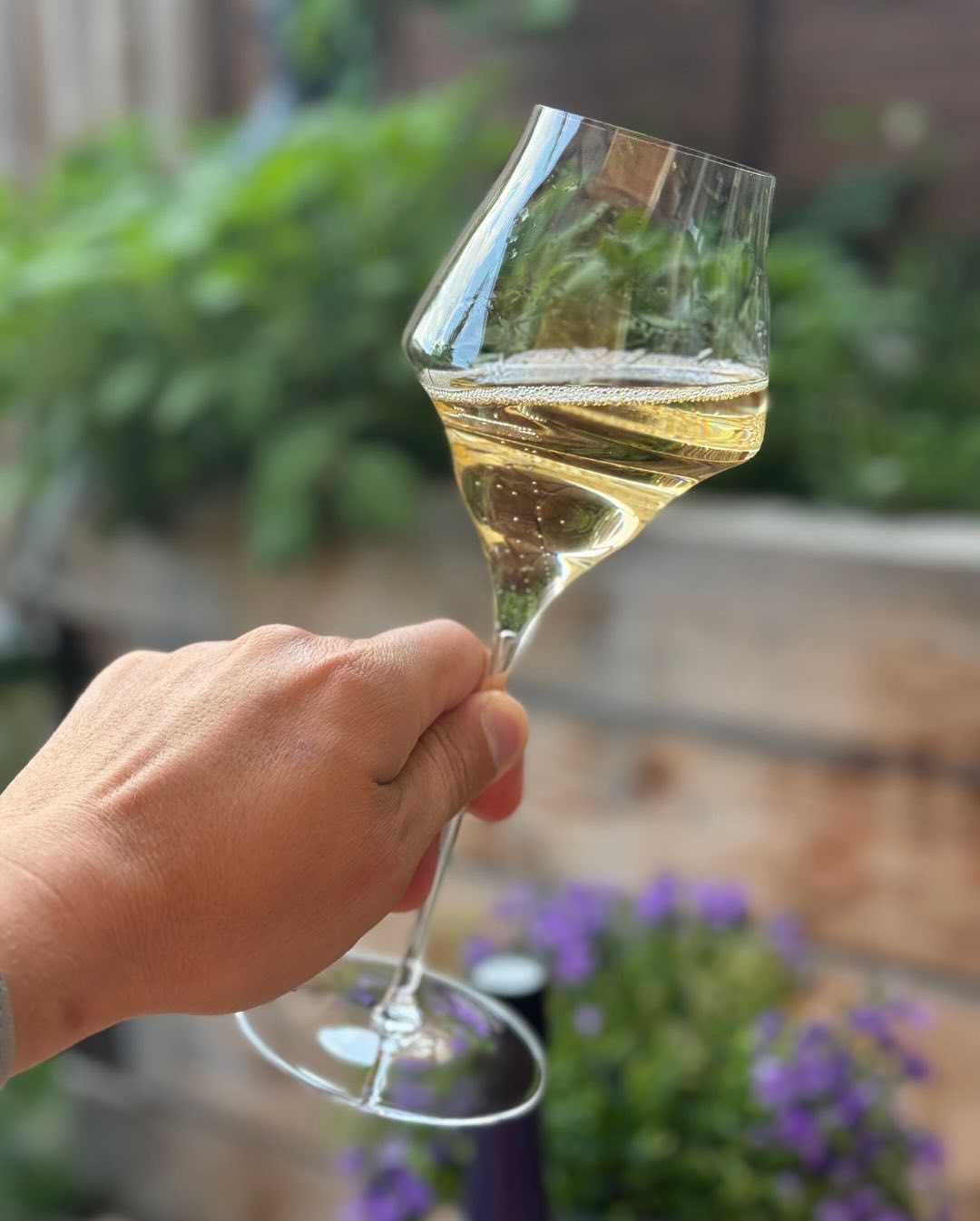 Letzte Sonnenstrahlen. Ein stiller Abend. Und ein Glas mit Kante. @champagnelombard – Extra Brut – Premier Cru – Blanc de Noirs Keine Begleitung, kein Essen – nur die Hitze … (9)