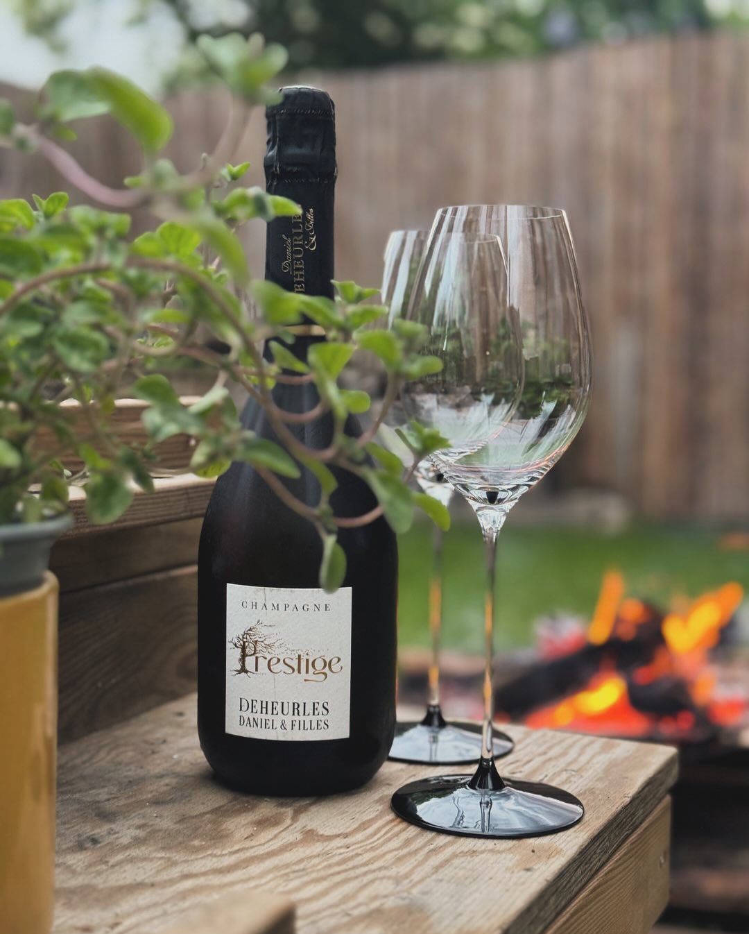 Heute haben wir den @champagnedanieldeheurles – Prestige Brut – geöffnet. ​ ​Ein stiller Begleiter für den Moment, wenn die Glut leuchtet und die Gespräche (und die Kinder 😂) l… (3)