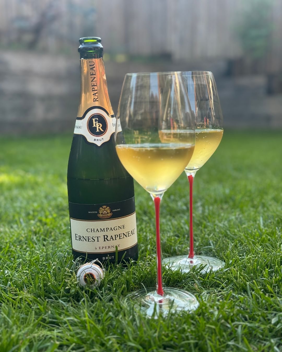 Kleiner Perspektivwechsel. ☀️🌿🥂 Am Wochenende, am Nachmittag einfach raus in die Wiese gelegt – Sonne, Ruhe, und ein Glas Ernest Rapeneau – Brut. Ein klassischer Brut, der si… (4)