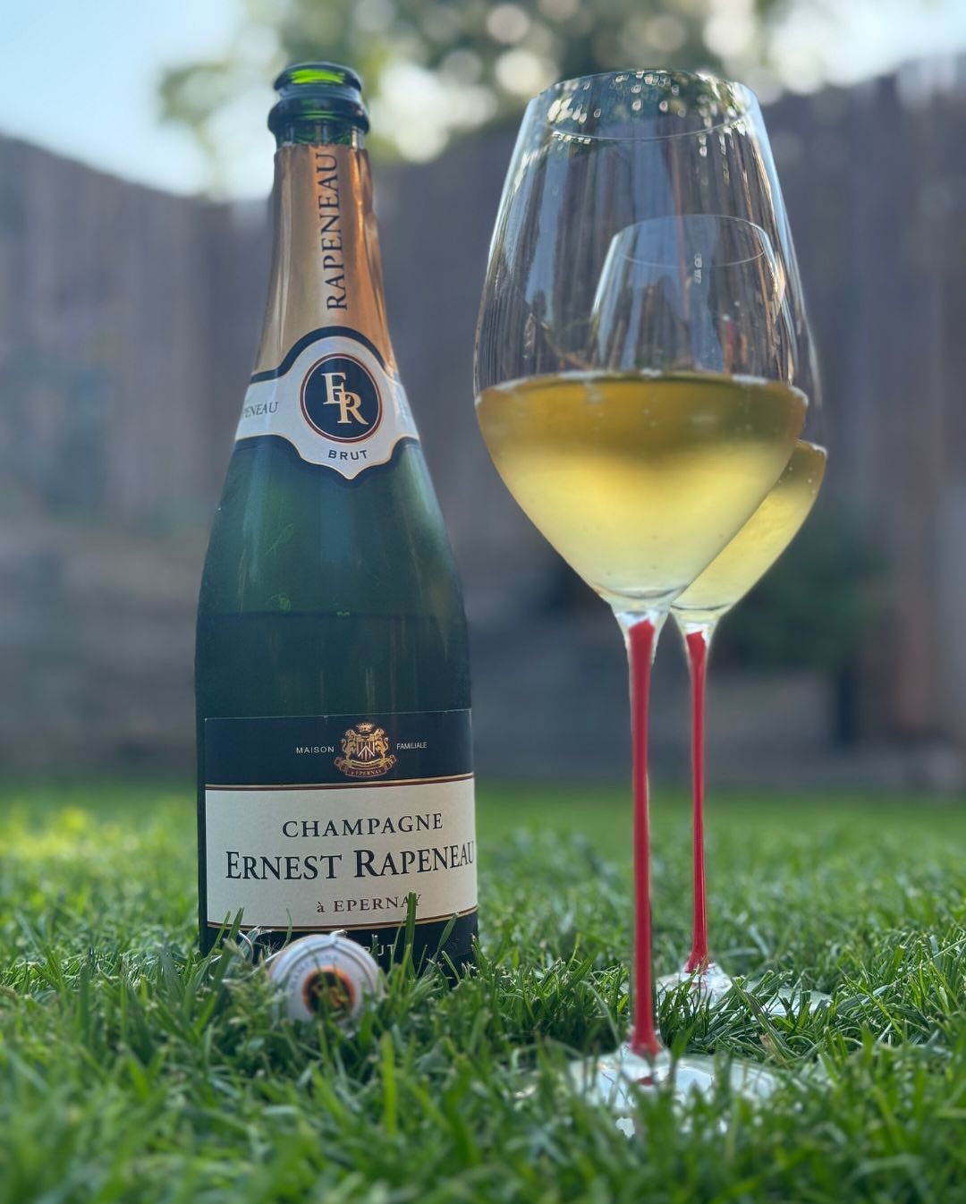 Kleiner Perspektivwechsel. ☀️🌿🥂 Am Wochenende, am Nachmittag einfach raus in die Wiese gelegt – Sonne, Ruhe, und ein Glas Ernest Rapeneau – Brut. Ein klassischer Brut, der si… (7)