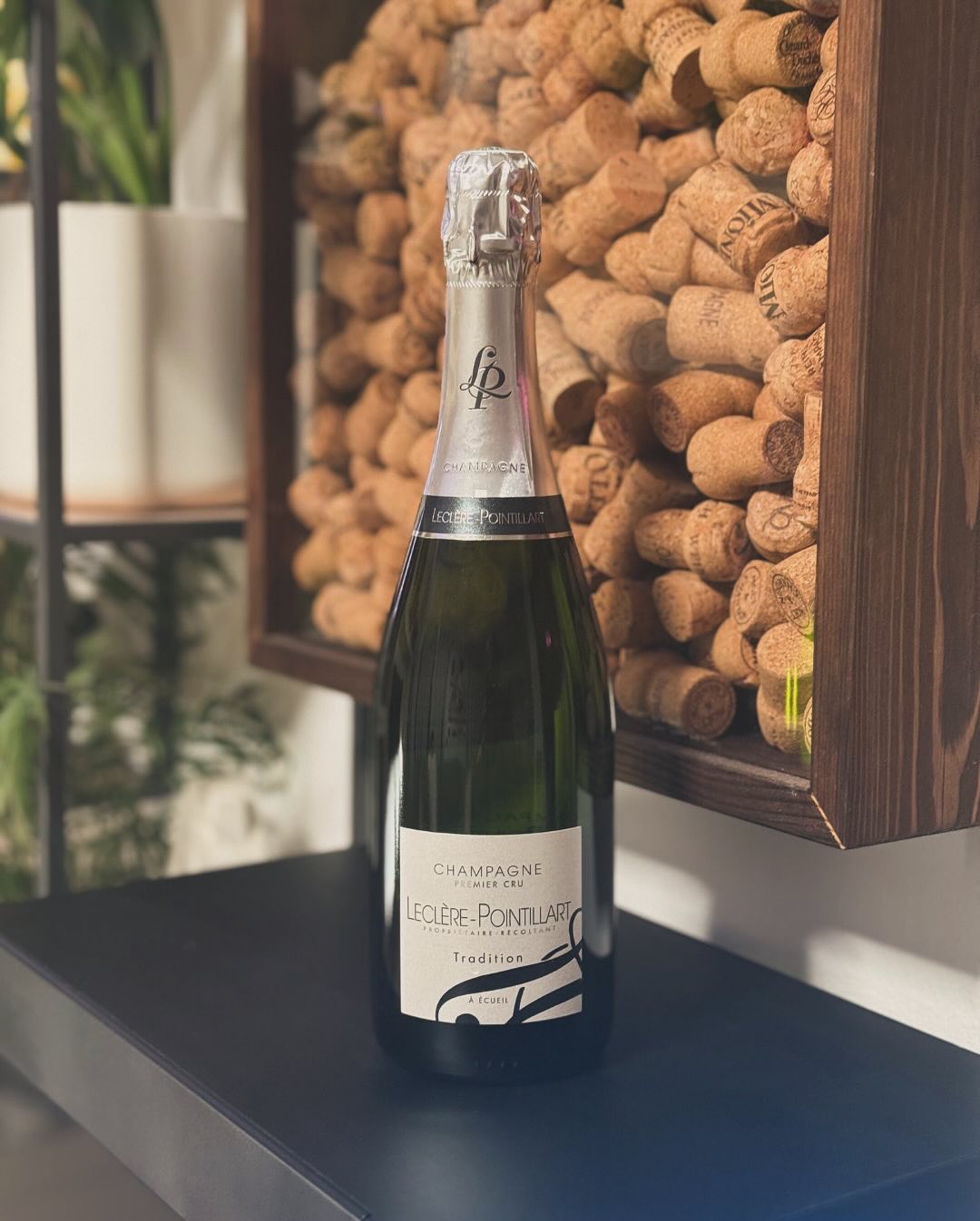 Manchmal will man einfach nur ein Glas, das funktioniert. Genau das liefert dieser 1er-Cru-Champagner aus dem Haus @champagne_leclere_pointillart : kraftvoll, solide, ehrlich un… (2)