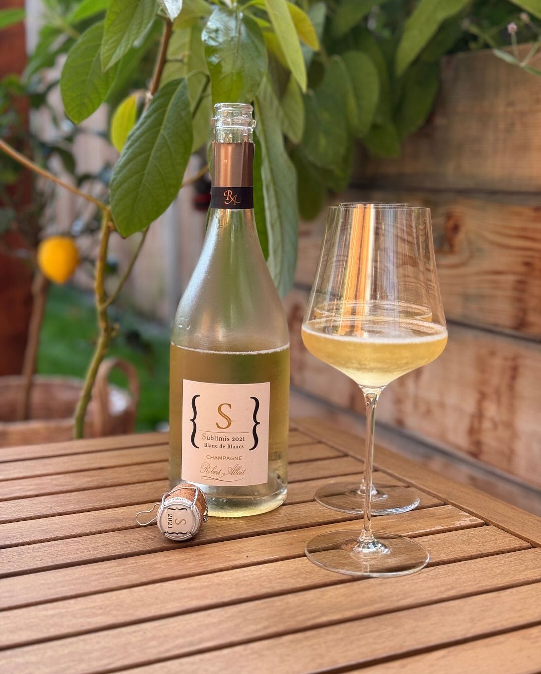 Im Alltag trinken wir viel Soda-Zitron. Und zwar richtig. Spritziges Sodawasser, frisch gepresster Zitronensaft – kein Sirup, keine Kompromisse. Das Ergebnis? Mehrere Kilo Zitro… (1)