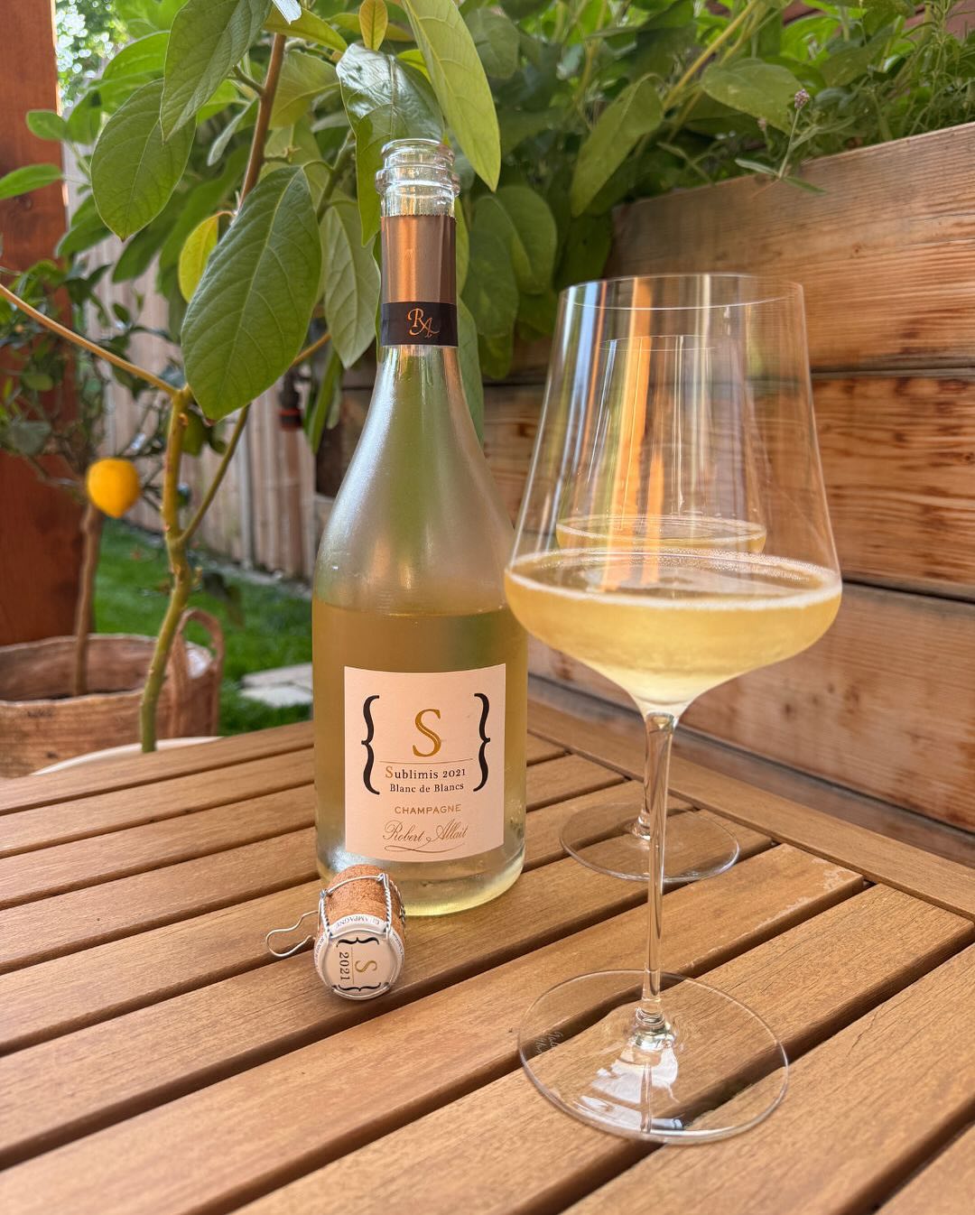 Im Alltag trinken wir viel Soda-Zitron. Und zwar richtig. Spritziges Sodawasser, frisch gepresster Zitronensaft – kein Sirup, keine Kompromisse. Das Ergebnis? Mehrere Kilo Zitro… (3)