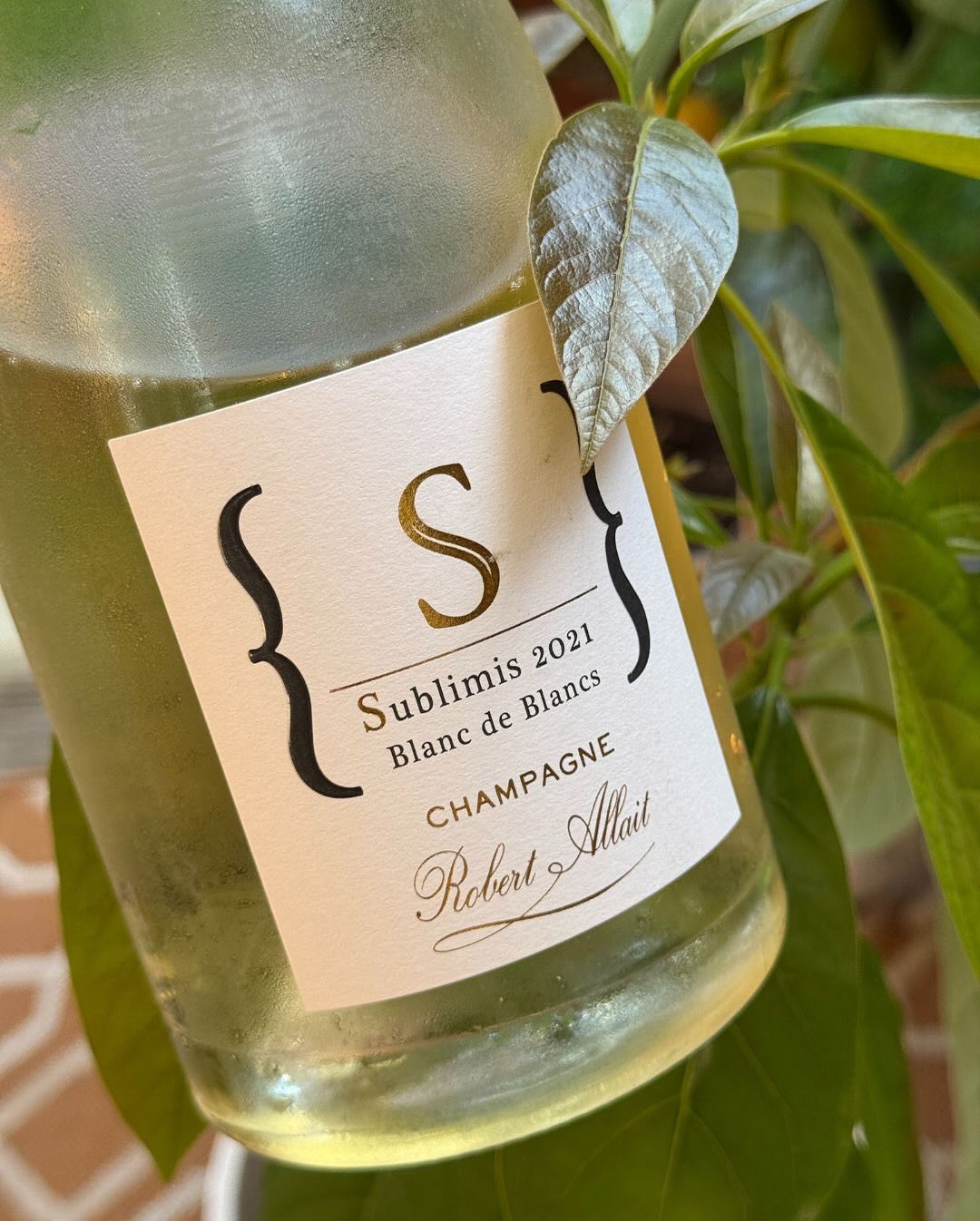 Im Alltag trinken wir viel Soda-Zitron. Und zwar richtig. Spritziges Sodawasser, frisch gepresster Zitronensaft – kein Sirup, keine Kompromisse. Das Ergebnis? Mehrere Kilo Zitro… (7)