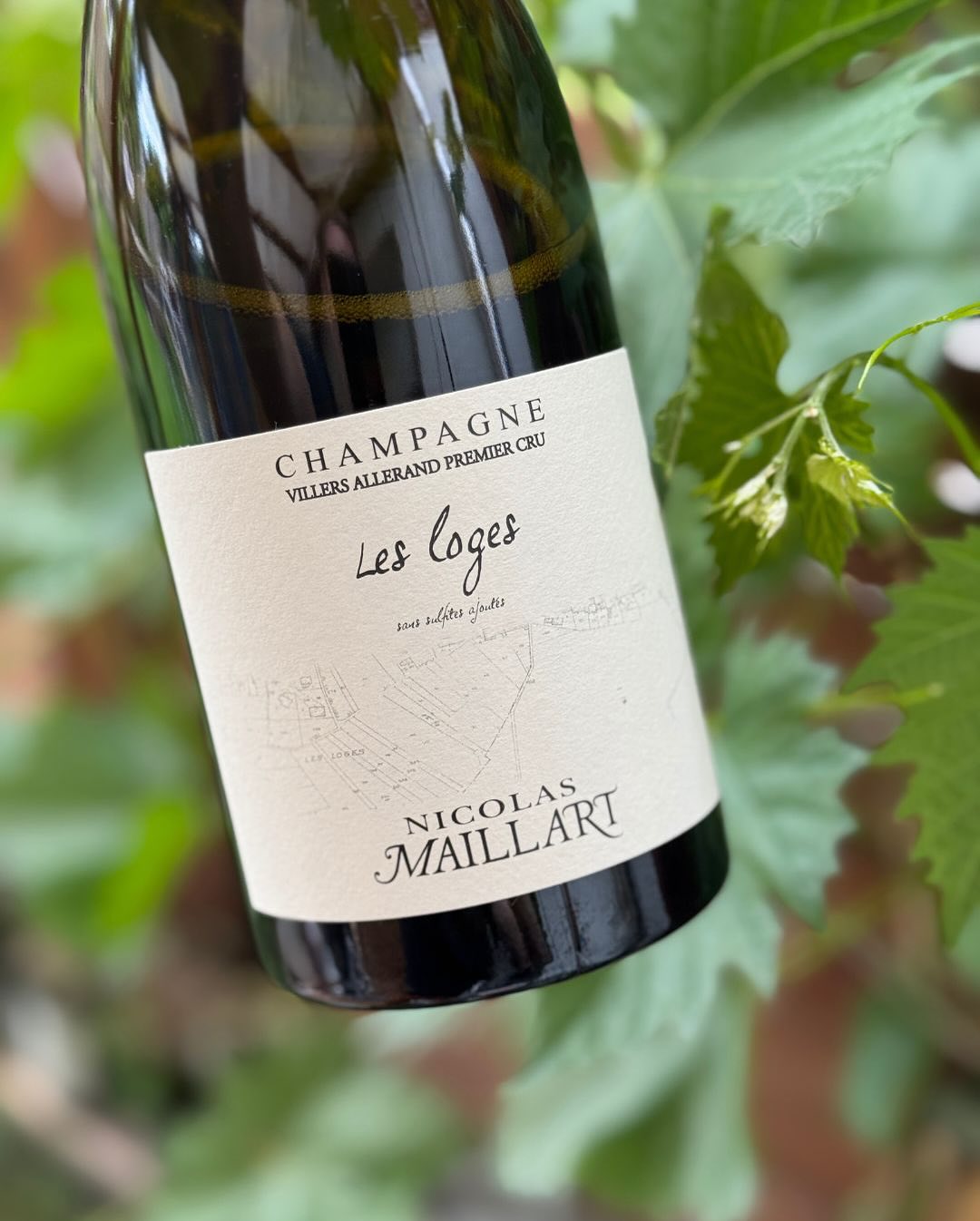 Heute war die Arbeit schneller als das Wochenende – aber wenigstens saß ich dabei in der Sonne. Laptop, @grad.dk Cooler, und im Glas: @nicolasmaillart – Les Loges – Premier Cru.… (10)