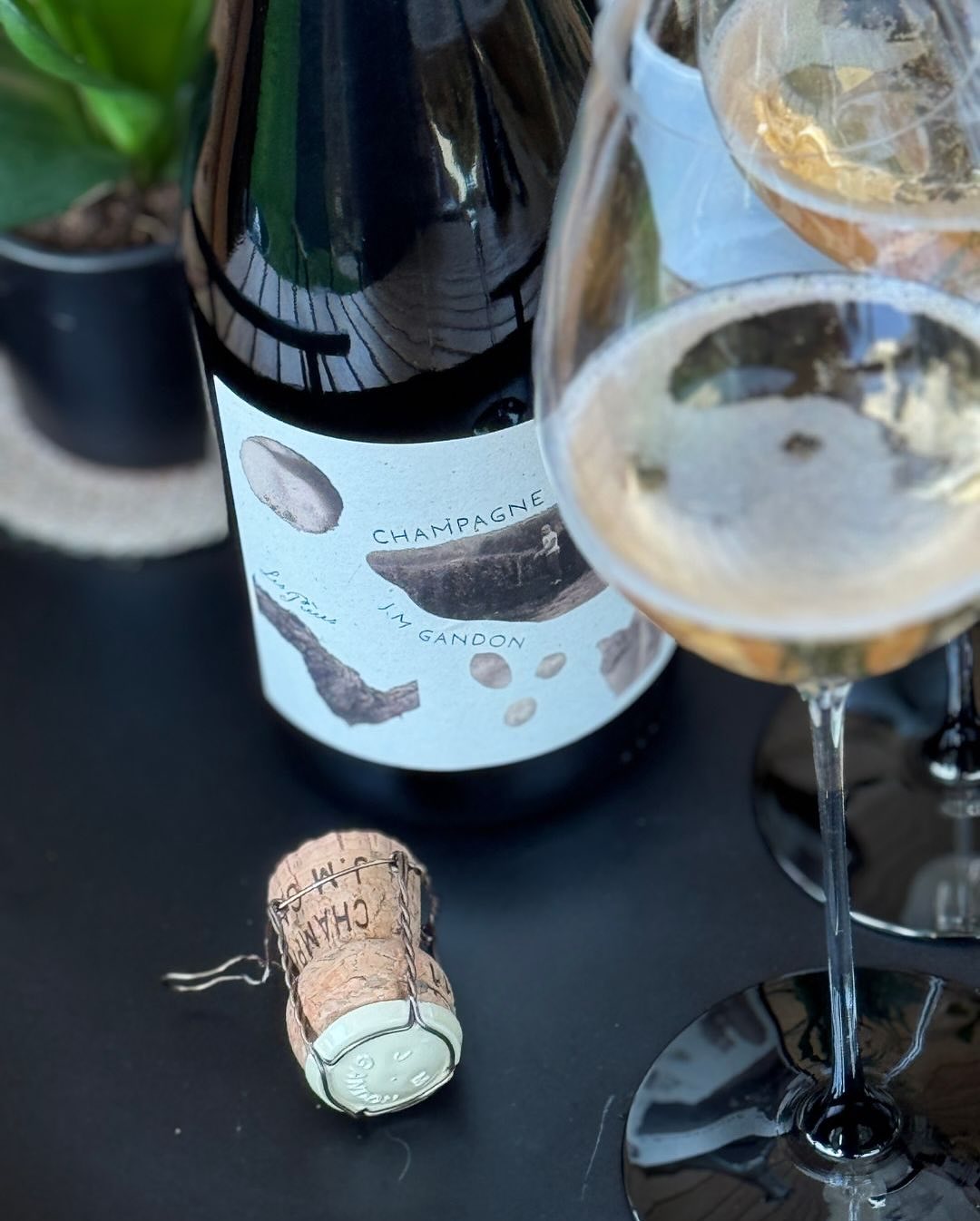 Ein kleiner Moment am Nachmittag – keine Hektik, kein Anlass. Nur ein tolles Glas an einem ruhigen Feiertag. Was da ins @riedel_official Black Tie kam, war nicht irgendein Champ… (4)