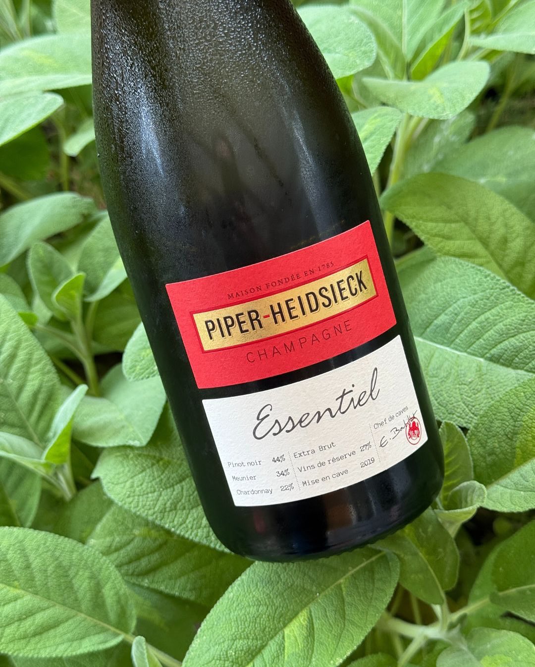 Heute: ein erster Hauch Sommer. Noch nicht ganz da, aber man spürt ihn schon. Die Luft ist warm, der Schatten angenehm. Und im Glas: Essentiel Extra Brut von @piper_heidsieck . … (7)