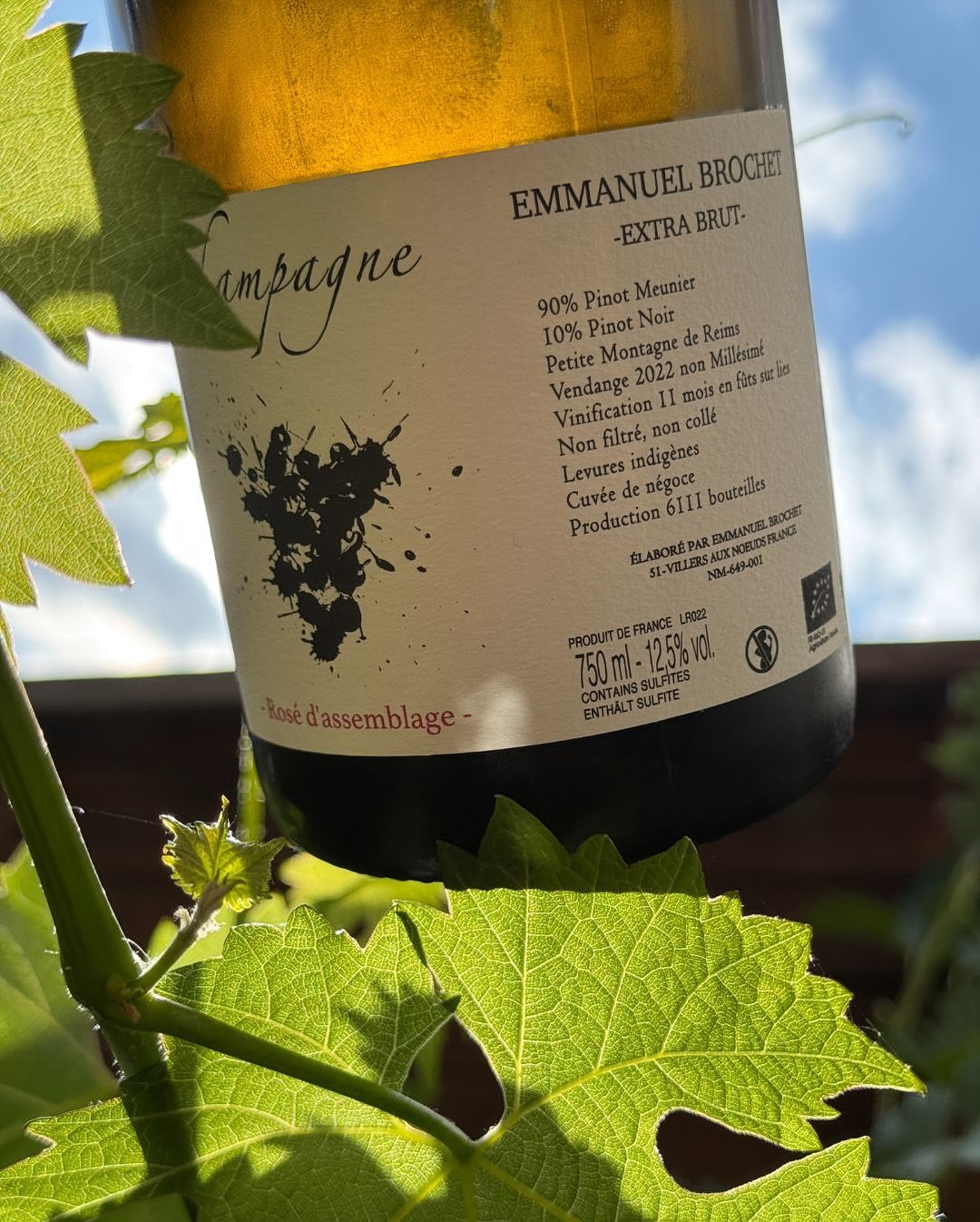 Ein Glas – und sofort eine Erinnerung im Kopf: 🍓 Erdbeerkuchen. Süßlich und verspielt, aber trotzdem elegant und komplex. In der Nase: rote Beeren, Hagebutte, getrocknete Kräut… (11)