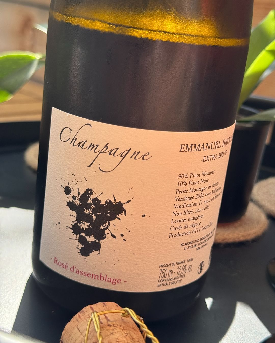 Ein Glas – und sofort eine Erinnerung im Kopf: 🍓 Erdbeerkuchen. Süßlich und verspielt, aber trotzdem elegant und komplex. In der Nase: rote Beeren, Hagebutte, getrocknete Kräut… (5)