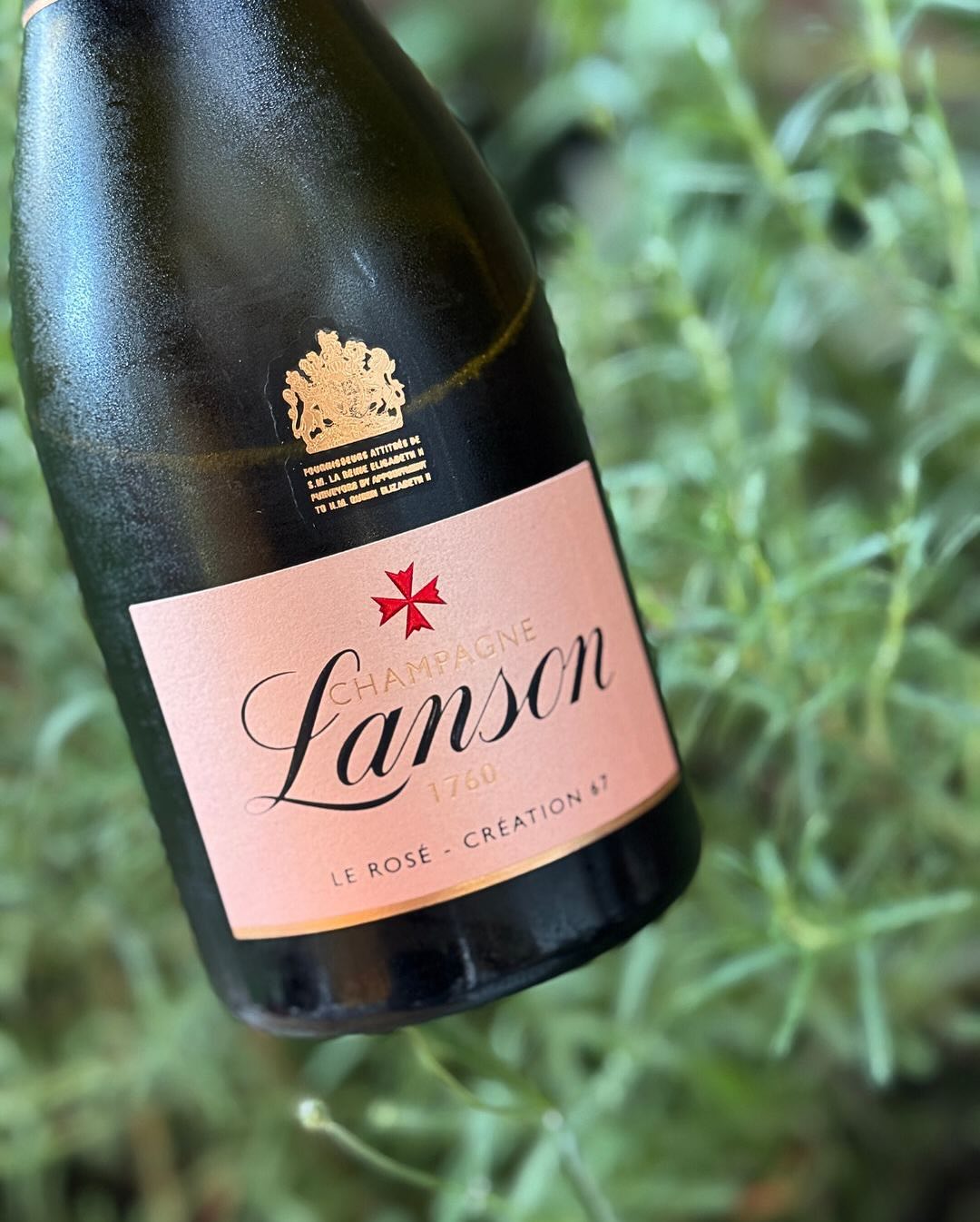 Manchmal will man einfach Rosé. Nicht verspielt. Nicht lieblich. Sondern klar, strukturiert – mit Frische, Tiefe und einem bisschen Kante. @champagnelanson – Le Rosé – Création … (6)