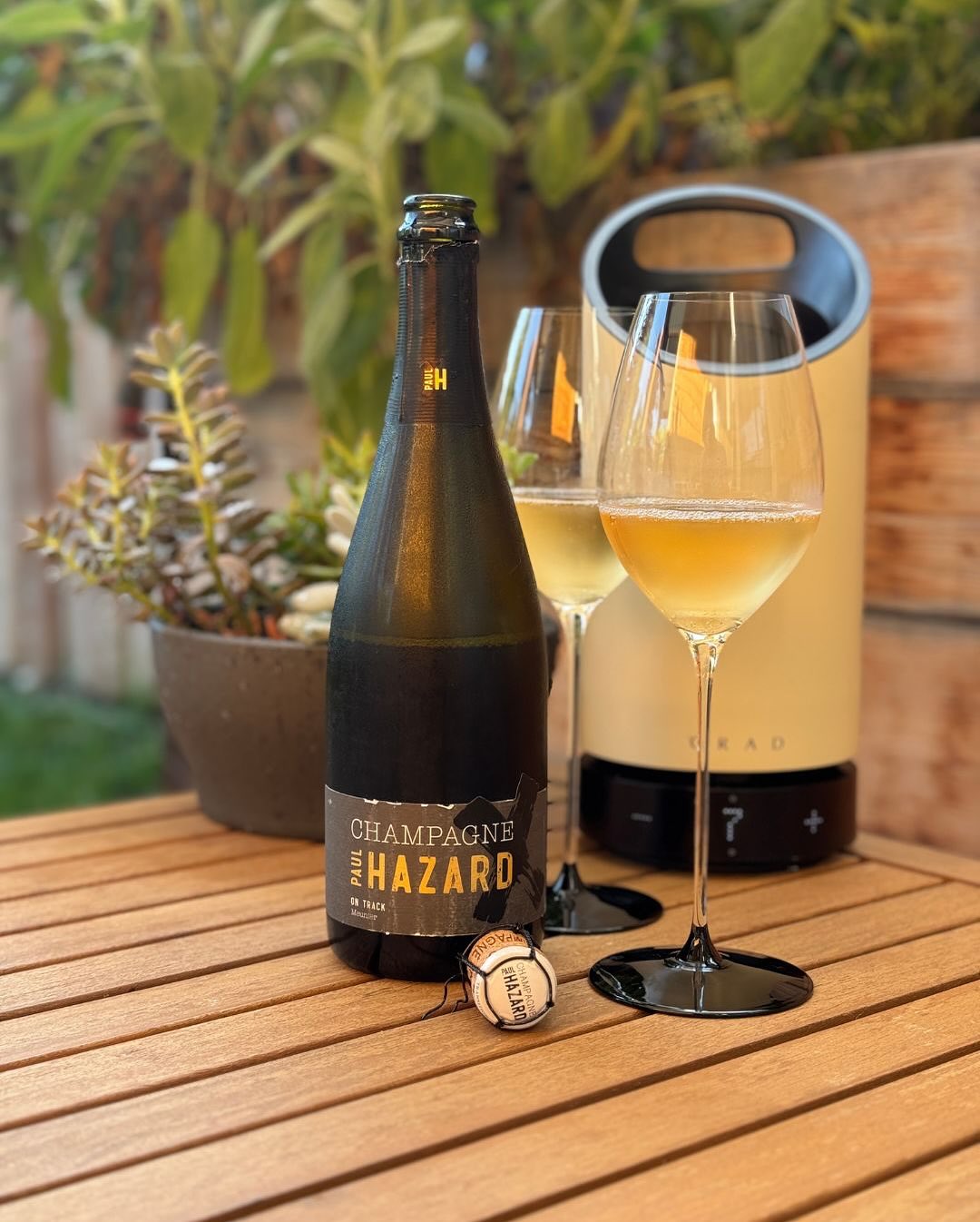 🍾 @champagnepaulhazard – On Track – Meunier 100 % Meunier | Vallée de la Marne | Dosage: 10 g/l Ich hatte eigentlich nur „ein Glas in der Sonne“ im Kopf – aber dieser Champagne… (1)