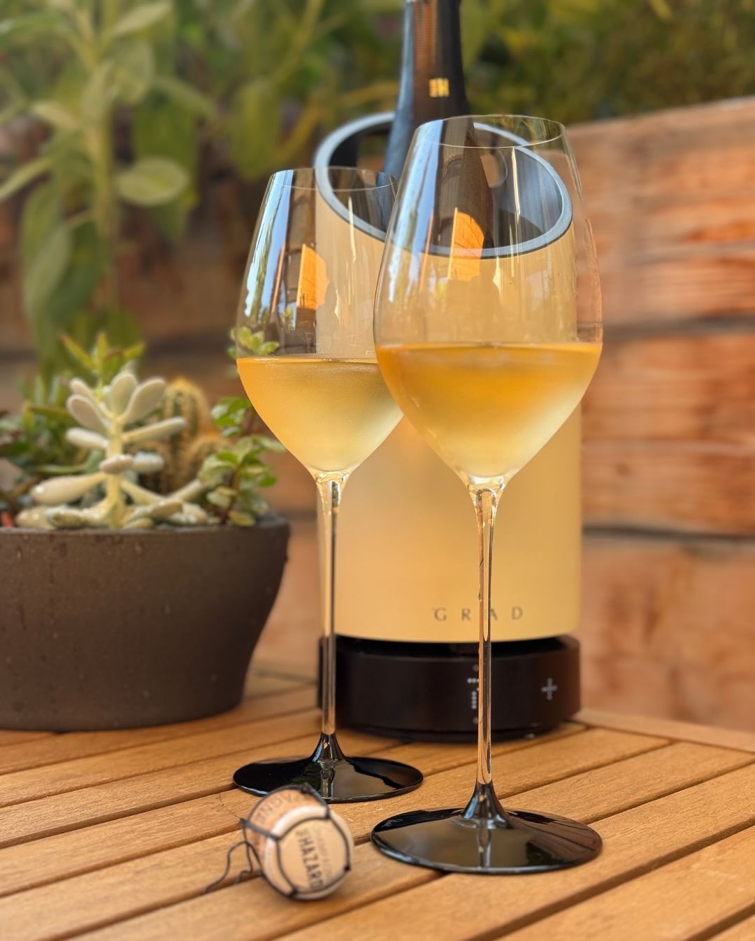 🍾 @champagnepaulhazard – On Track – Meunier 100 % Meunier | Vallée de la Marne | Dosage: 10 g/l Ich hatte eigentlich nur „ein Glas in der Sonne“ im Kopf – aber dieser Champagne… (5)