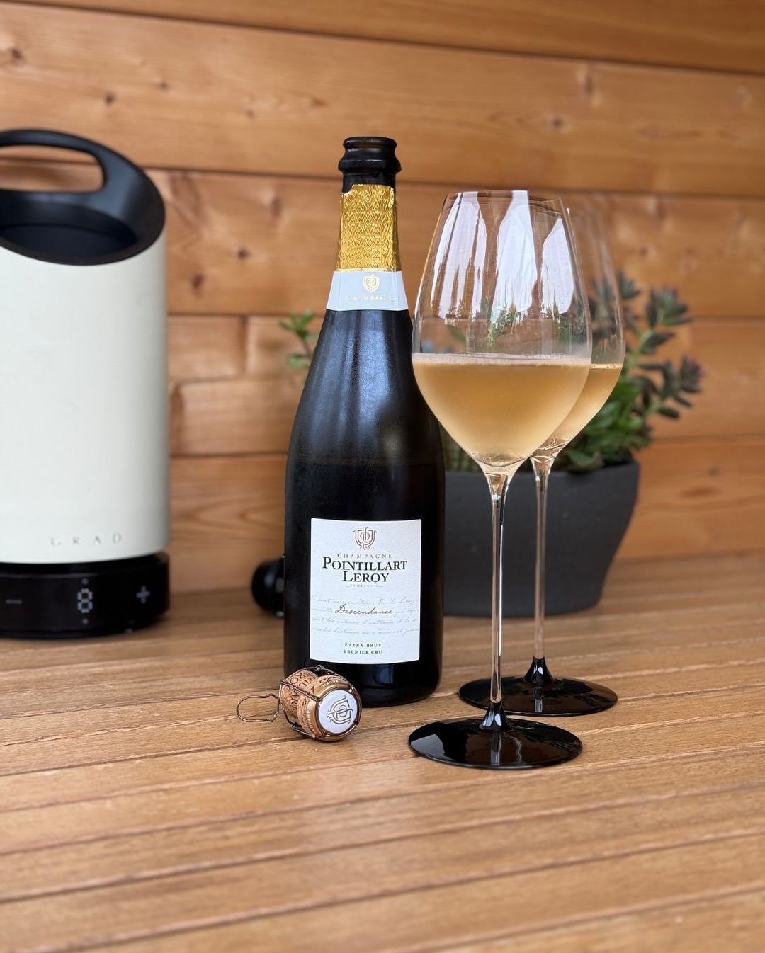 Gestern der Descendance - Brut, heute der Descendance - Extra Brut von @champagne.pointillart.leroy – und ich muss sagen: Die 2 g/l Dosage machen genau den Unterschied, den ich … (1)