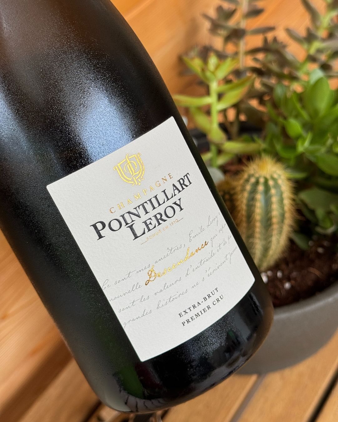 Gestern der Descendance - Brut, heute der Descendance - Extra Brut von @champagne.pointillart.leroy – und ich muss sagen: Die 2 g/l Dosage machen genau den Unterschied, den ich … (8)