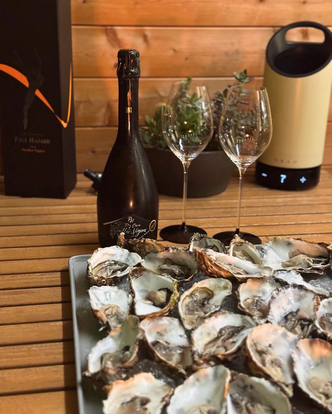 Ein lauer Sommerabend, eine Platte voller Austern auf Eis. Drei Vinaigrettes standen bereit – aber ich war mir nicht sicher, welcher Champagner dazu am besten passt. Keine Blanc… (3)