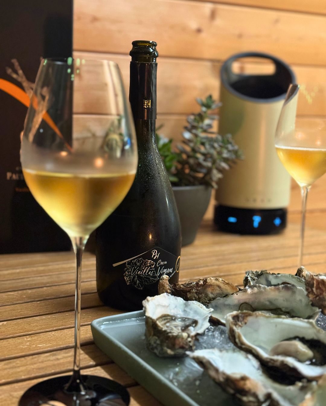 Ein lauer Sommerabend, eine Platte voller Austern auf Eis. Drei Vinaigrettes standen bereit – aber ich war mir nicht sicher, welcher Champagner dazu am besten passt. Keine Blanc… (6)