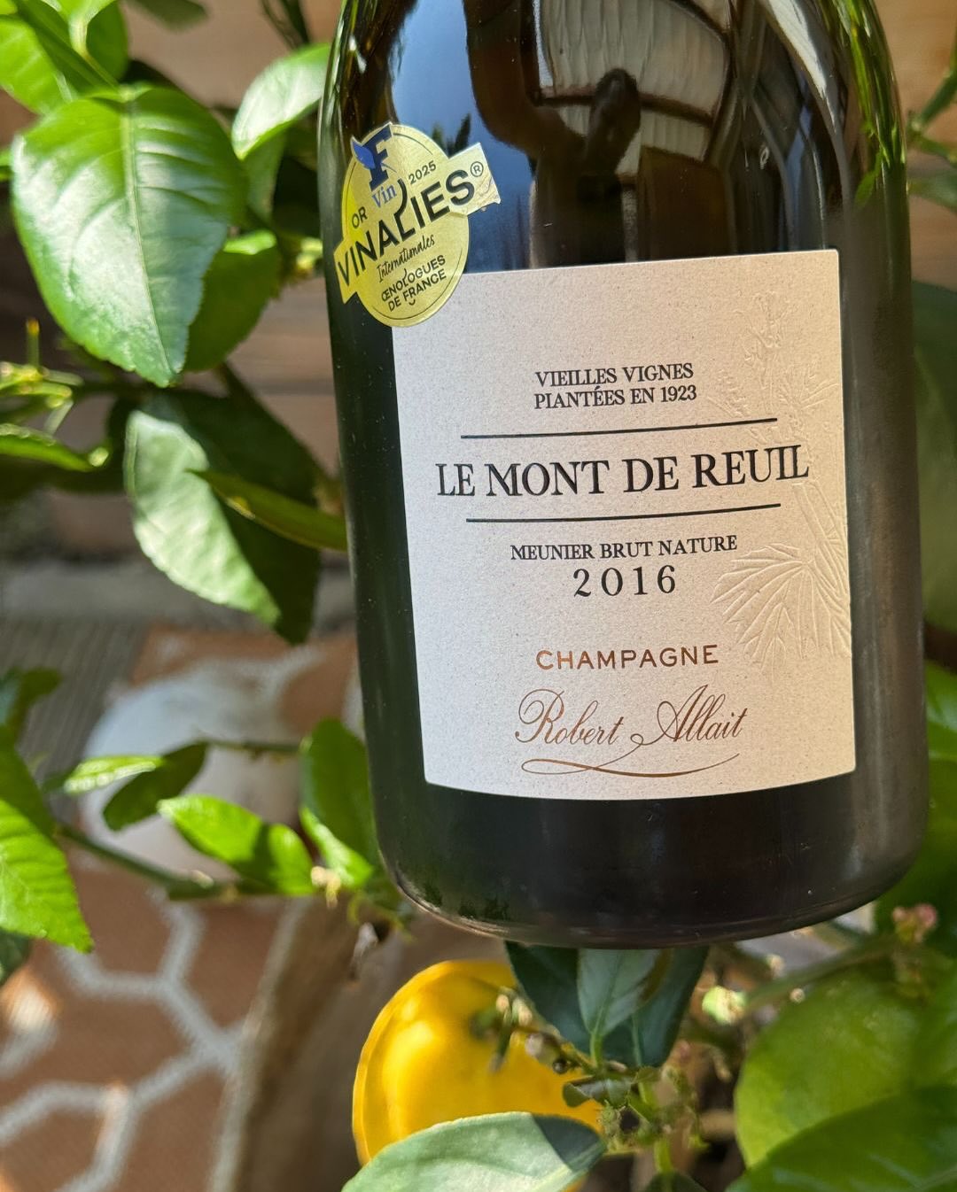 @champagnerobertallait – Le Mont de Reuil 2016 Ein Champagner, den ich inzwischen in drei ganz unterschiedlichen Settings probiert habe – und jedes Mal war’s auf seine Art stimm… (6)