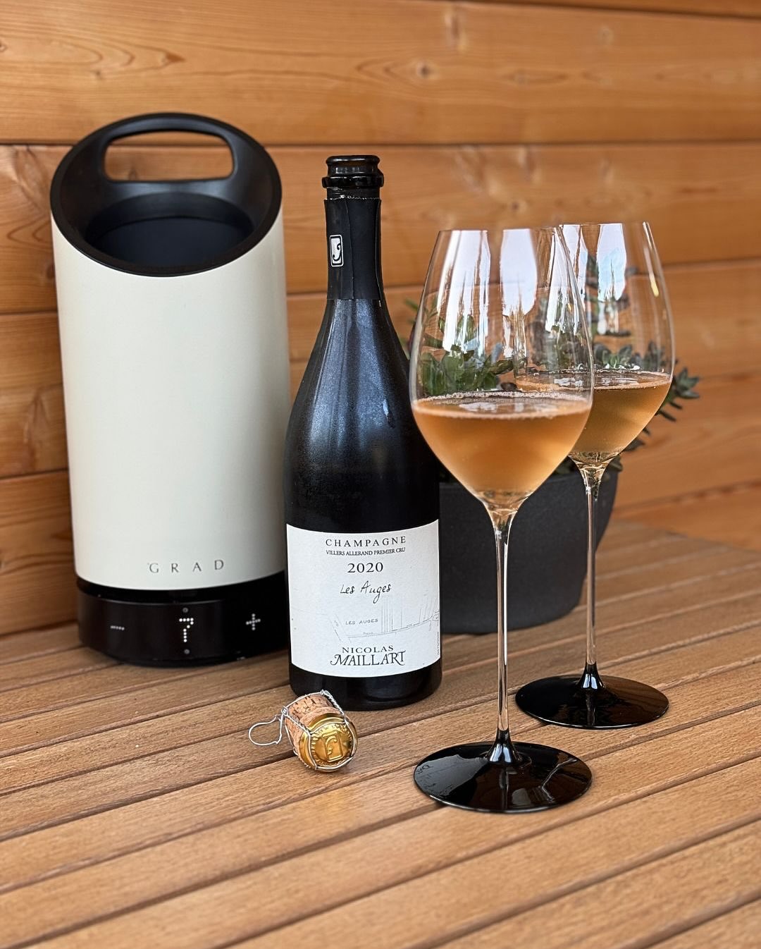 Heute mal wieder Pinot Pur – aber eben nicht irgendein Blanc de Noirs, sondern ein Ausdruck von tiefer Handarbeit, selektiver Massalvermehrung und echter Überzeugung. Der Les Au… (1)