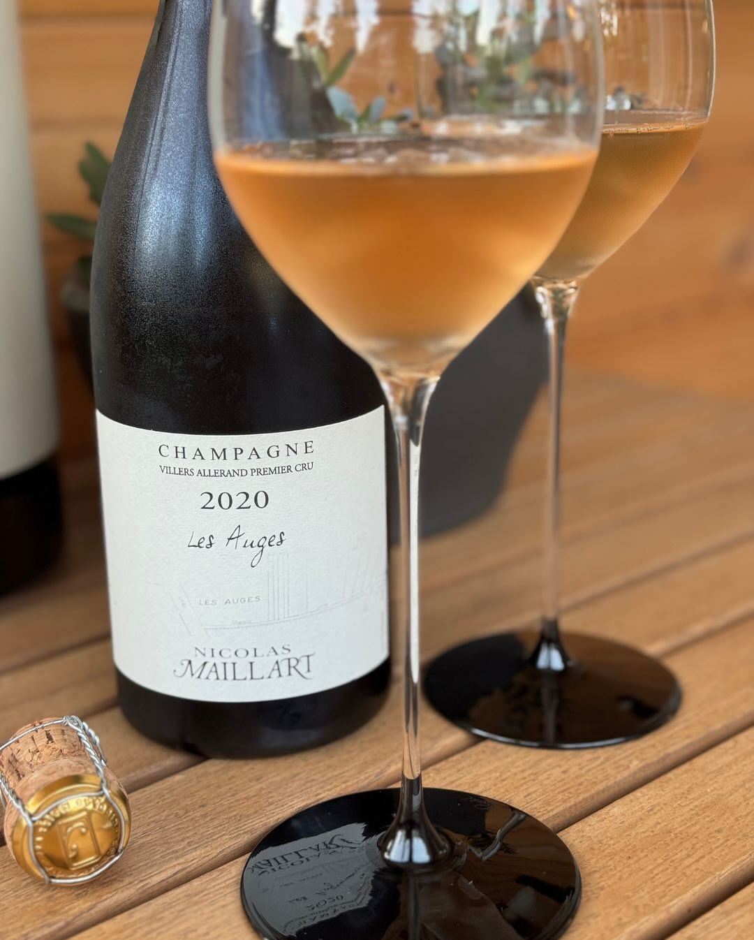 Heute mal wieder Pinot Pur – aber eben nicht irgendein Blanc de Noirs, sondern ein Ausdruck von tiefer Handarbeit, selektiver Massalvermehrung und echter Überzeugung. Der Les Au… (3)