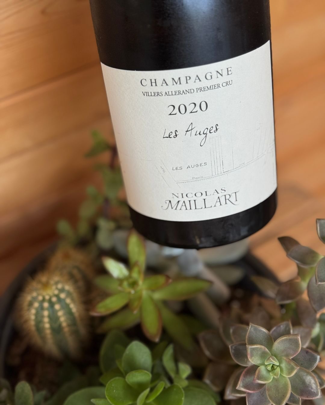 Heute mal wieder Pinot Pur – aber eben nicht irgendein Blanc de Noirs, sondern ein Ausdruck von tiefer Handarbeit, selektiver Massalvermehrung und echter Überzeugung. Der Les Au… (6)