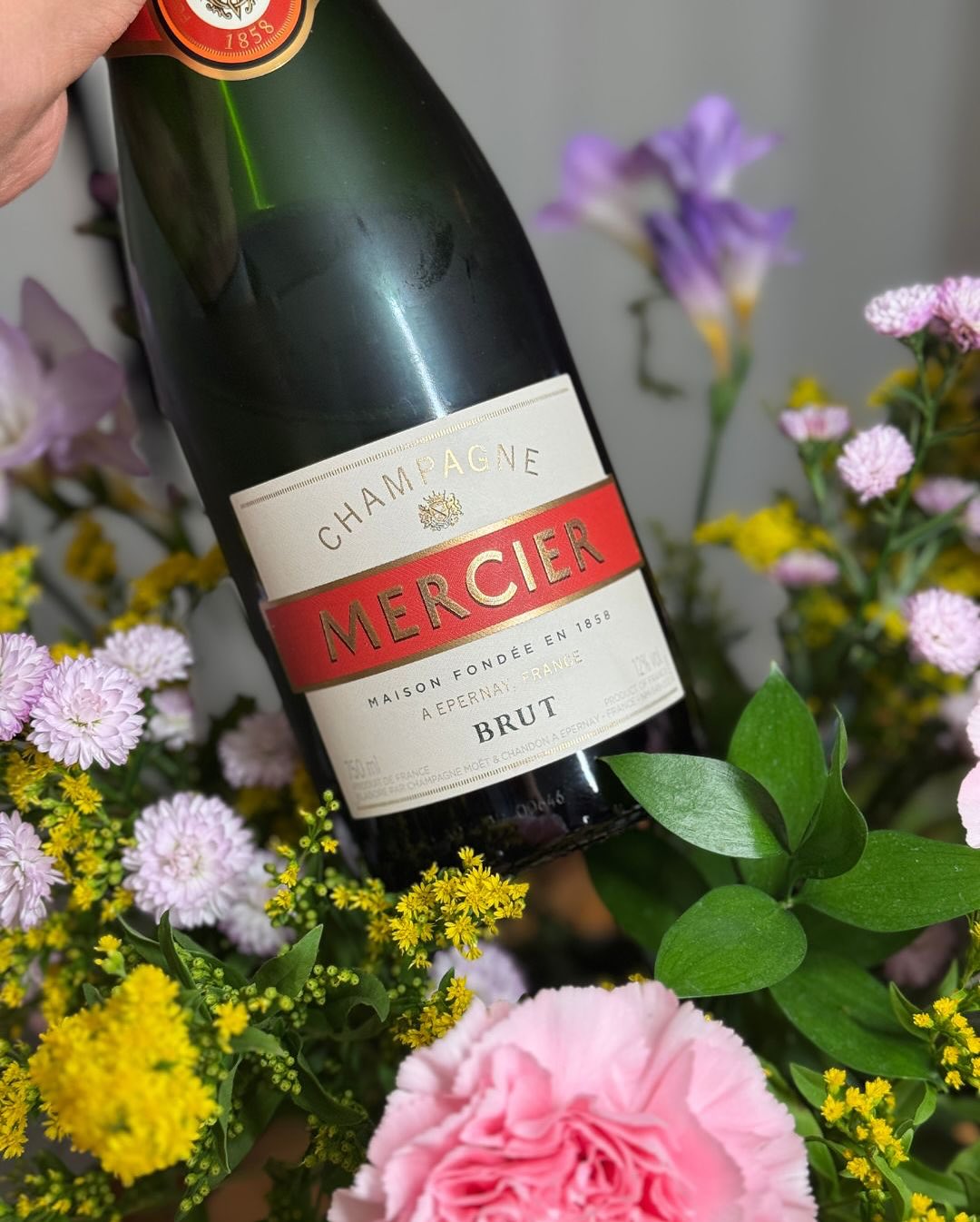 Eine Flasche, die ich vor einiger Zeit solo geöffnet habe. Angenehm zu trinken, unkompliziert und frisch – auch wenn diese Einstiegs-Cuvée von Mercier nicht unbedingt im Gedächt… (7)